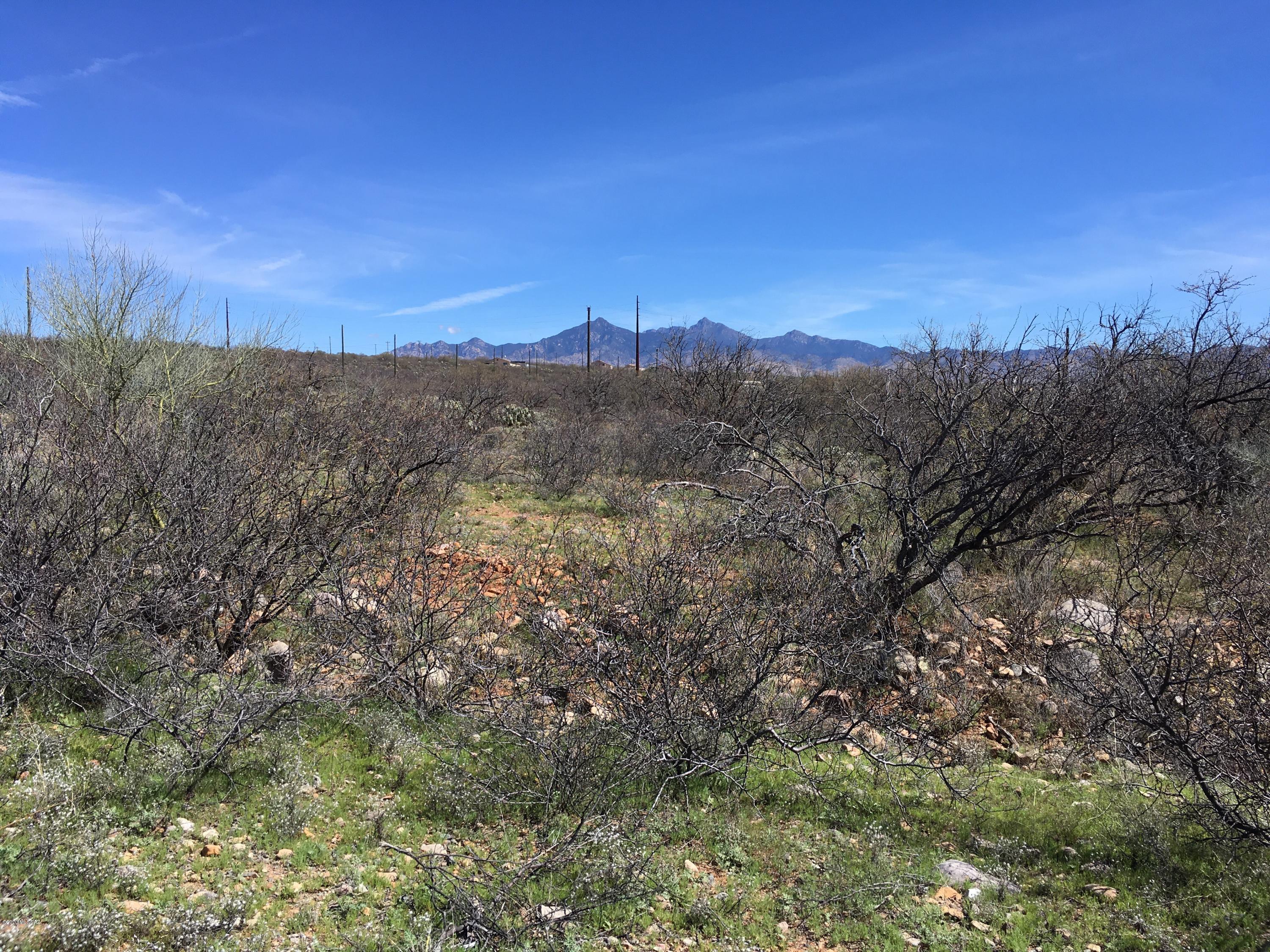 Rio Rico Villas 11 - Land