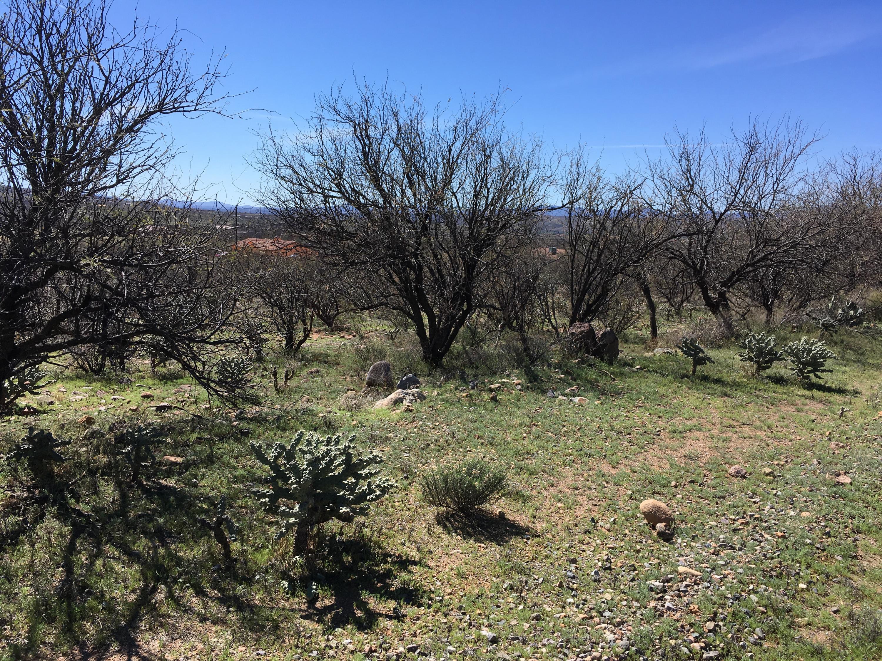Great 1/4 acre building lot at the corner of Camino Josefina and Calle Griego - both paved roads with easy access to Pendleton and to the I-19 - natural desert.
