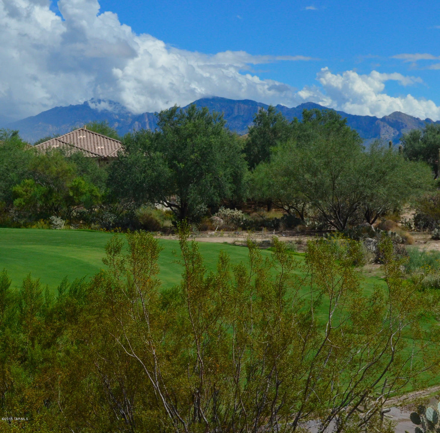 Heritage Highlands III at Dove Mountain (542-719) - Residential