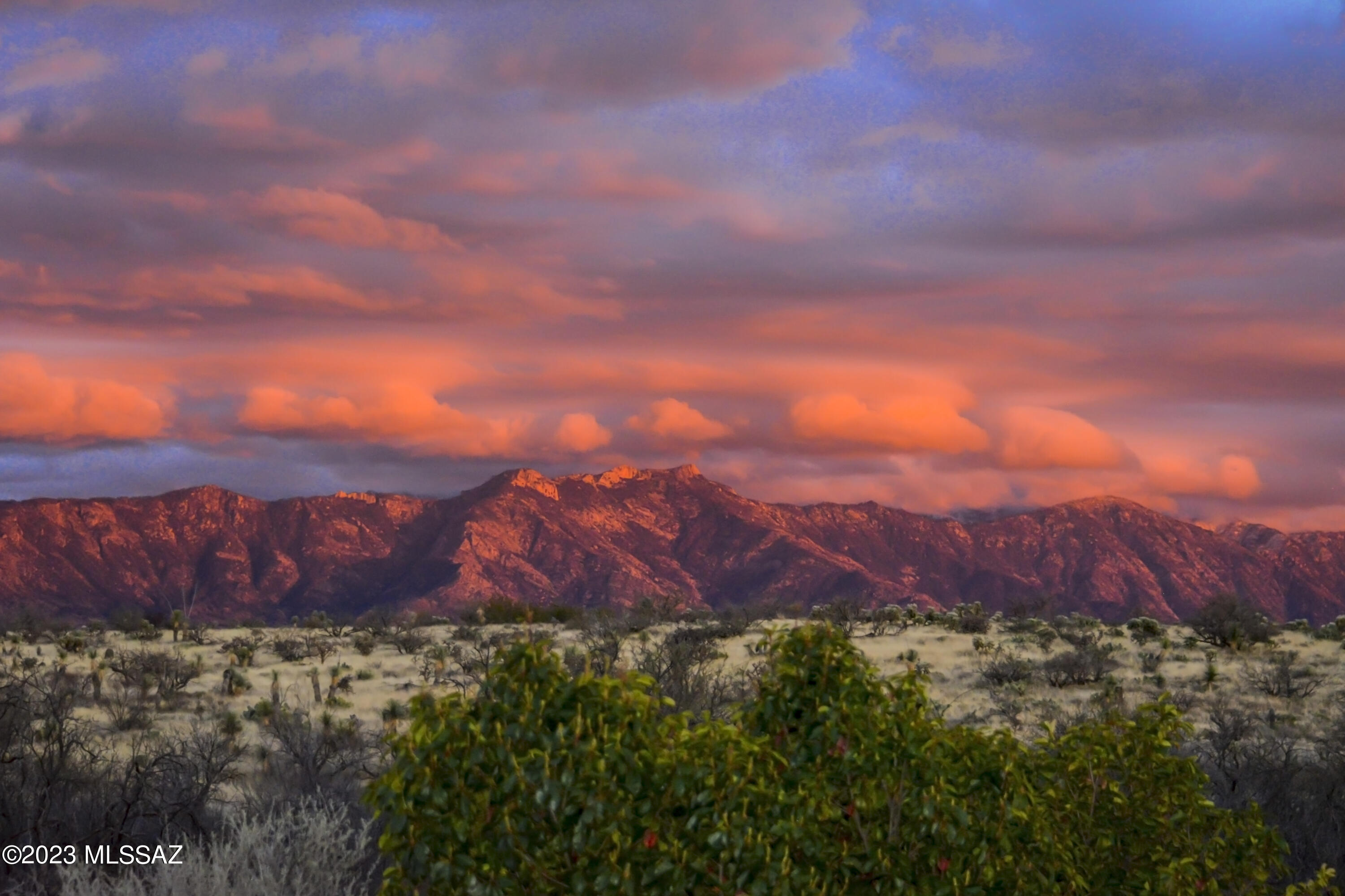 Saddlebrooke Ranch - Residential