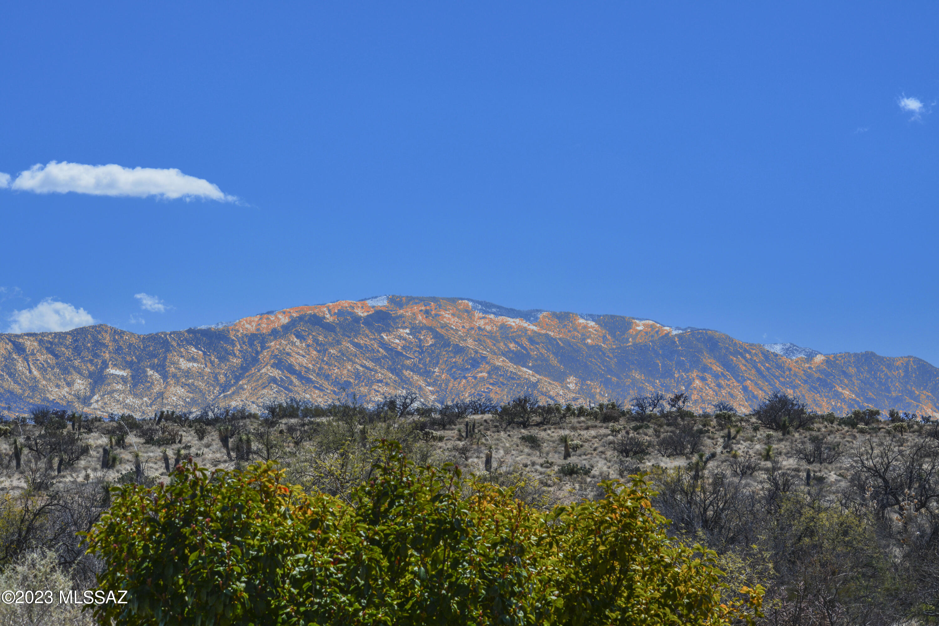 Saddlebrooke Ranch - Residential