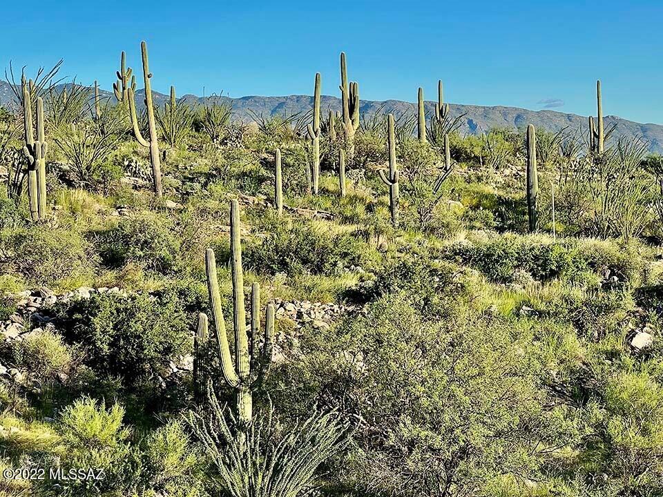 Estrella Vista Estates (1-23) - Land