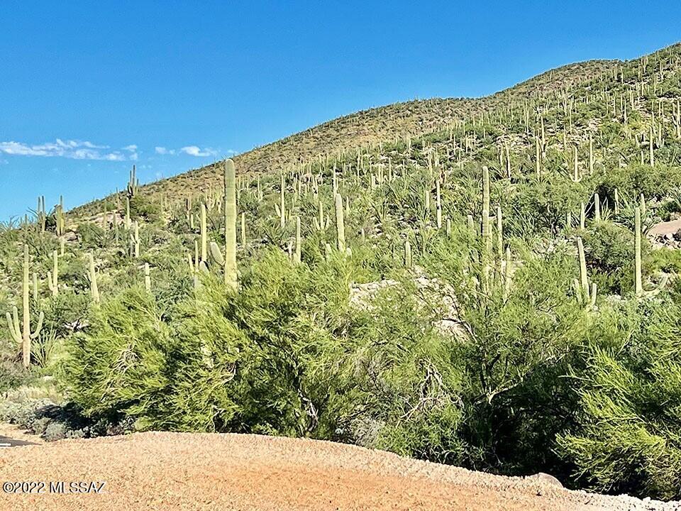 Estrella Vista Estates (1-23) - Land