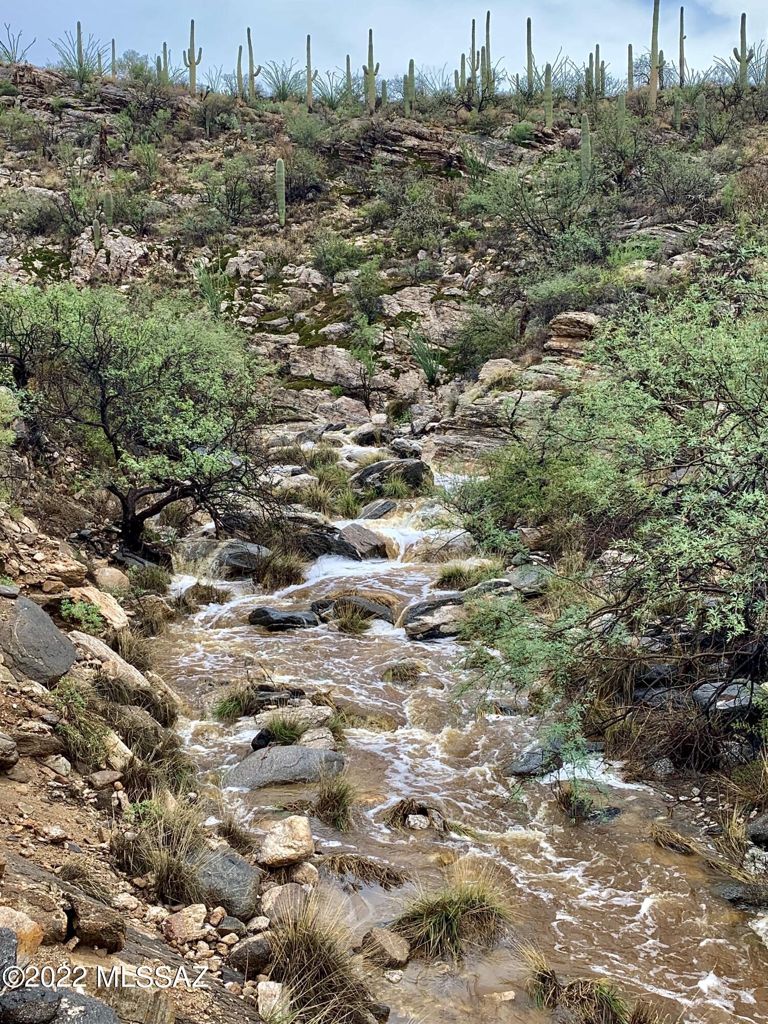 Estrella Vista Estates (1-23) - Land