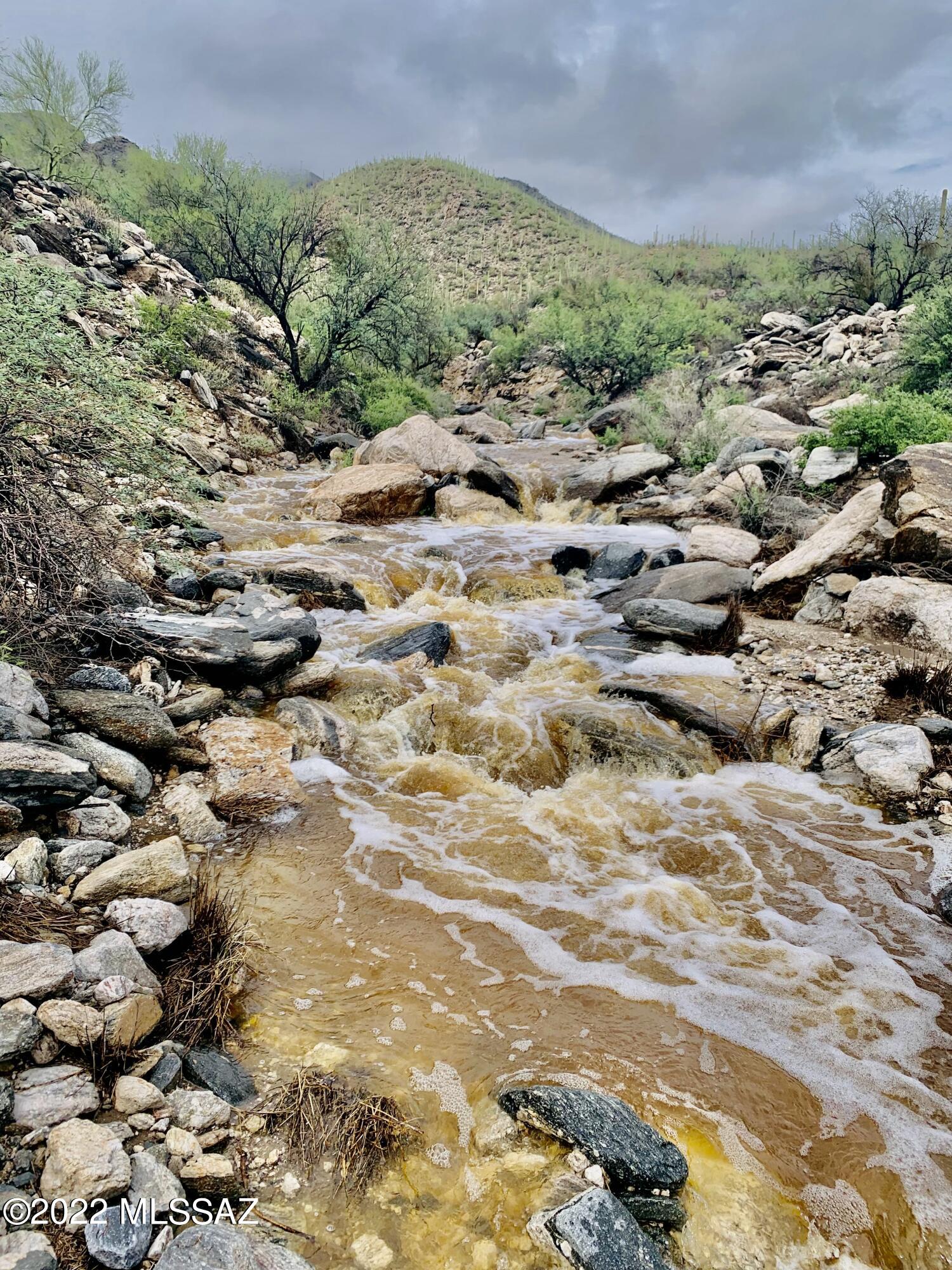 Estrella Vista Estates (1-23) - Land