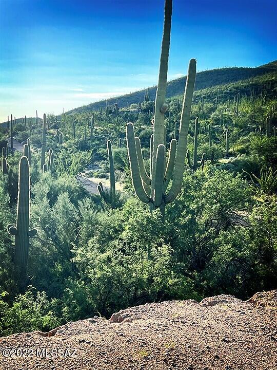 Estrella Vista Estates (1-23) - Land
