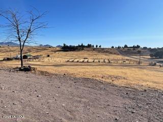 Las Encinos Village - Residential