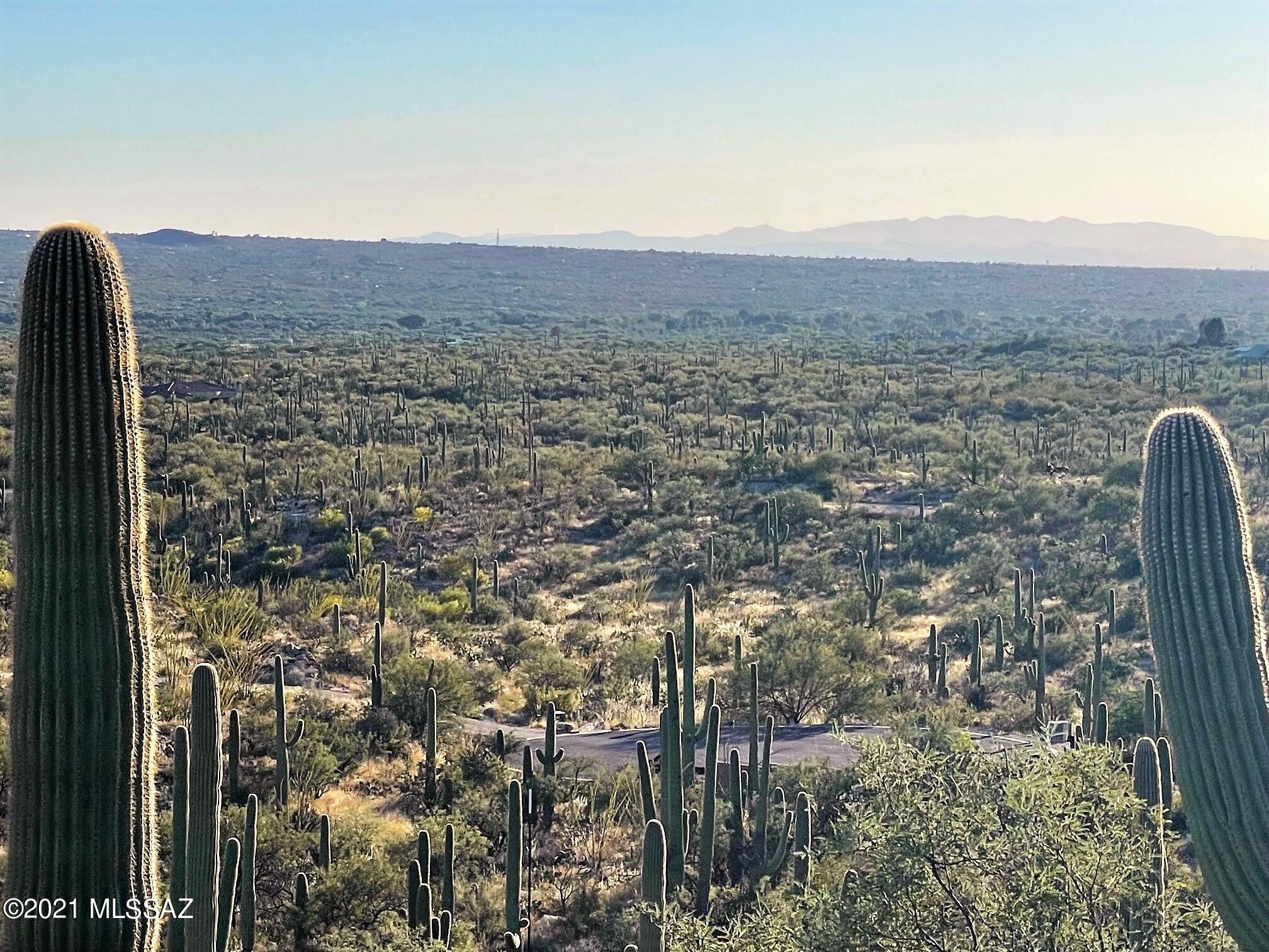Rinconado Estates (1-13) - Land