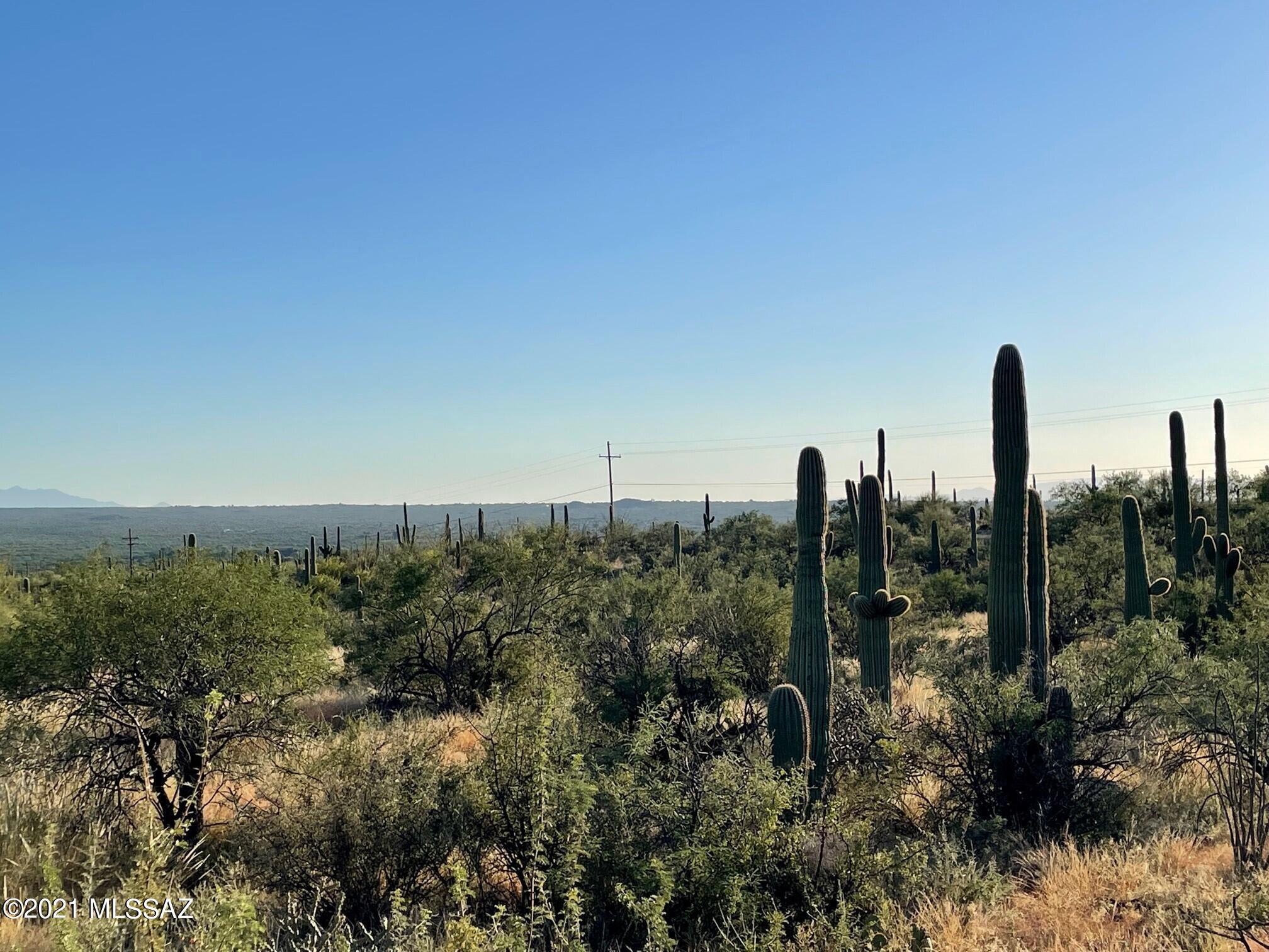 Rinconado Estates (1-13) - Land