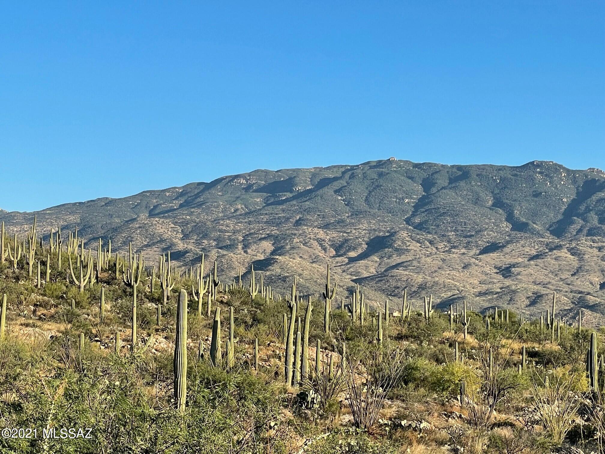 Rinconado Estates (1-13) - Land