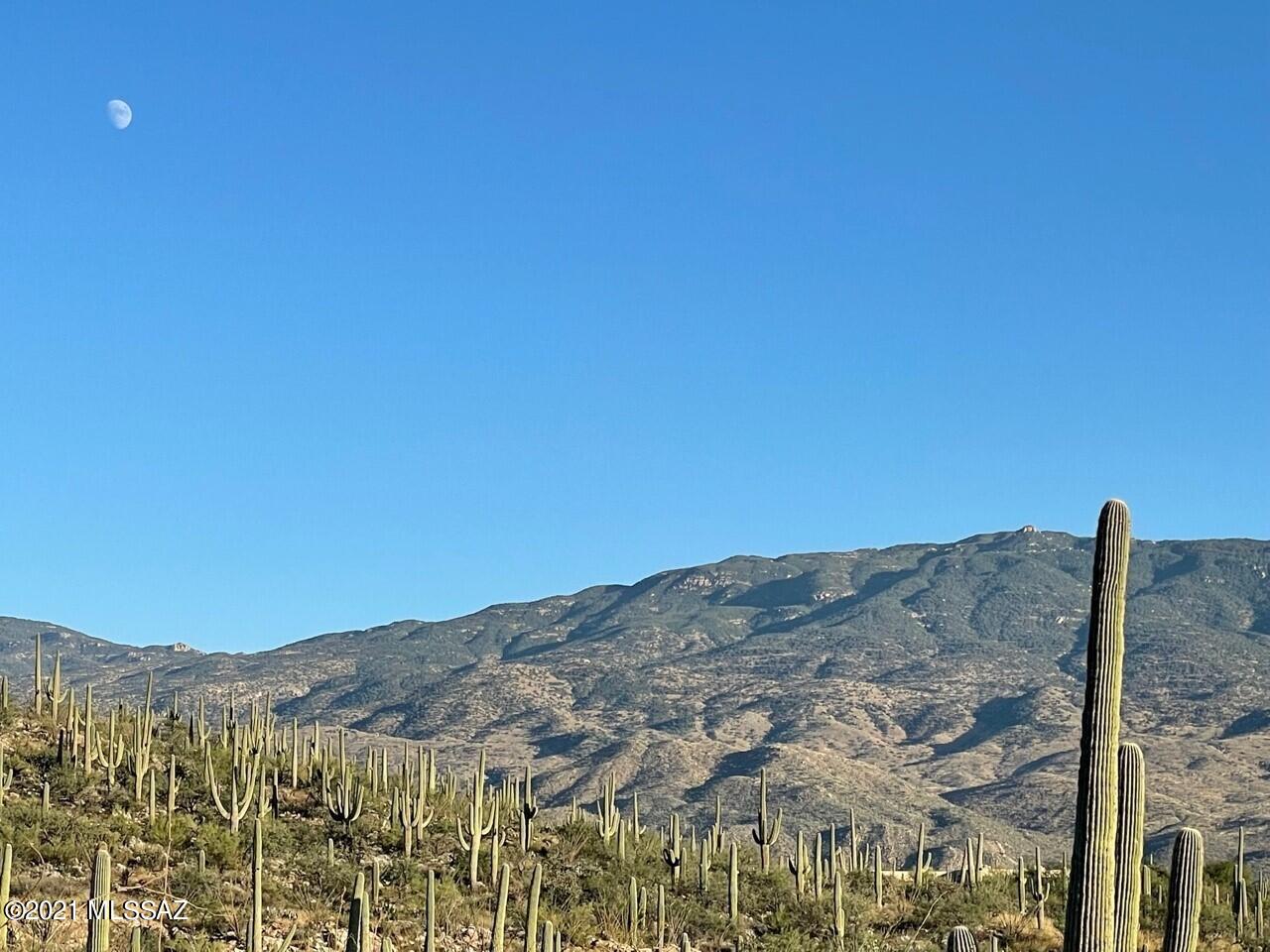Rinconado Estates (1-13) - Land