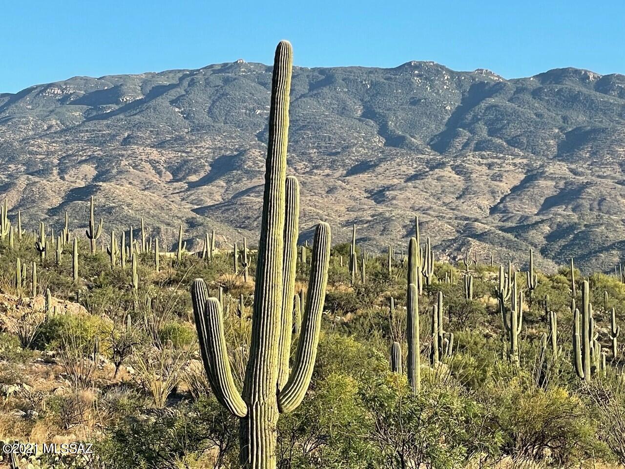 Rinconado Estates (1-13) - Land