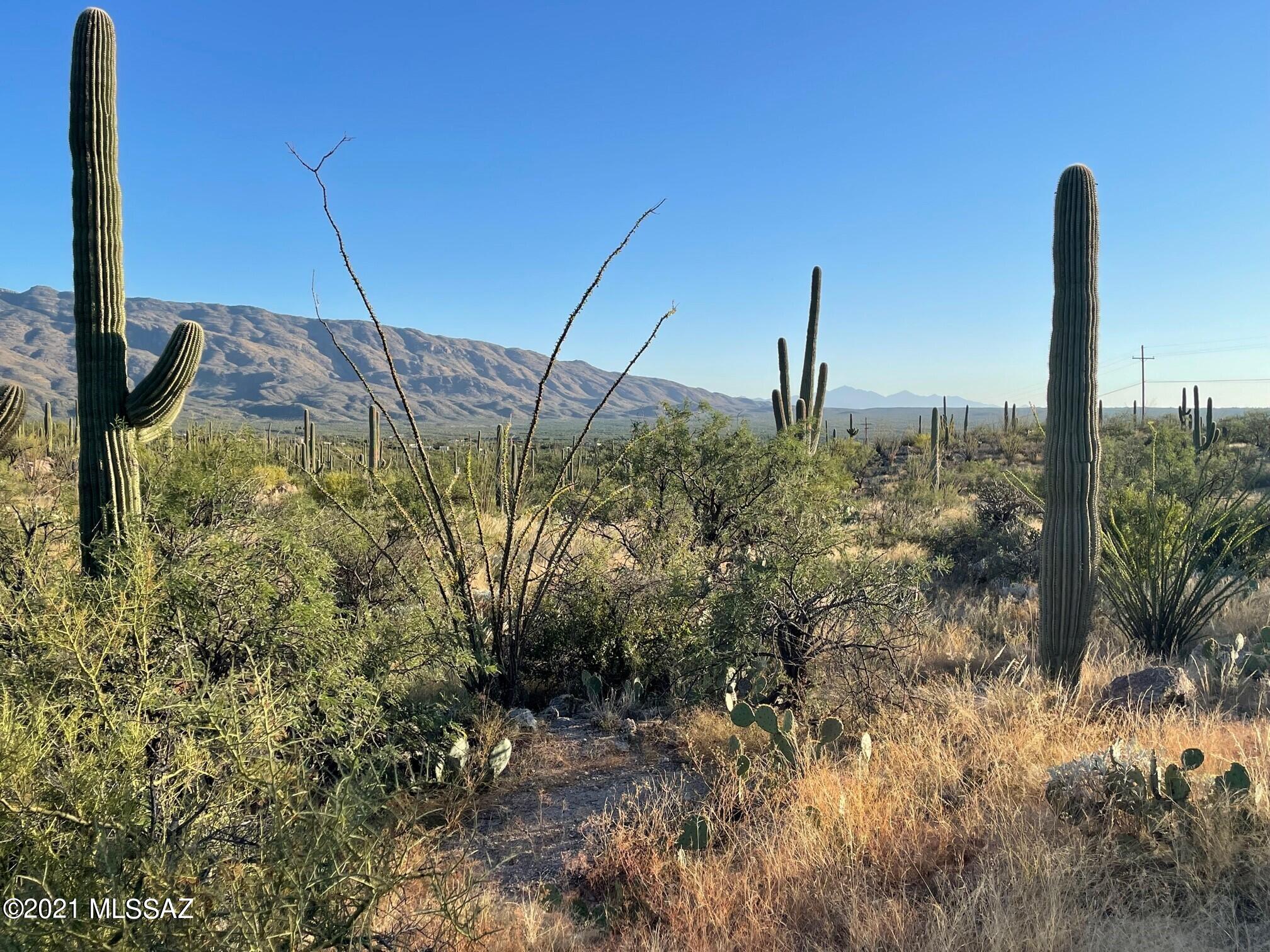 Rinconado Estates (1-13) - Land