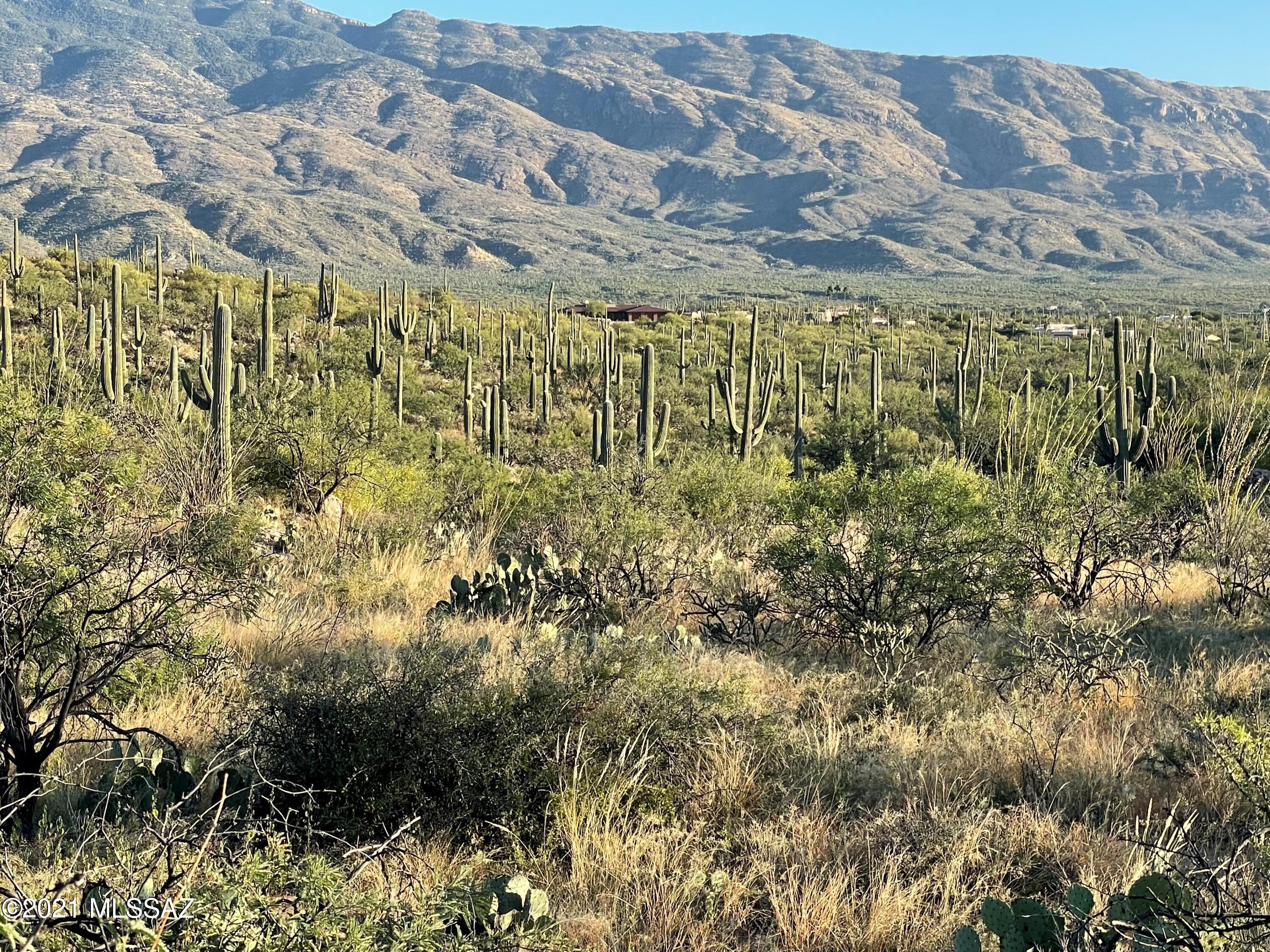 Rinconado Estates (1-13) - Land