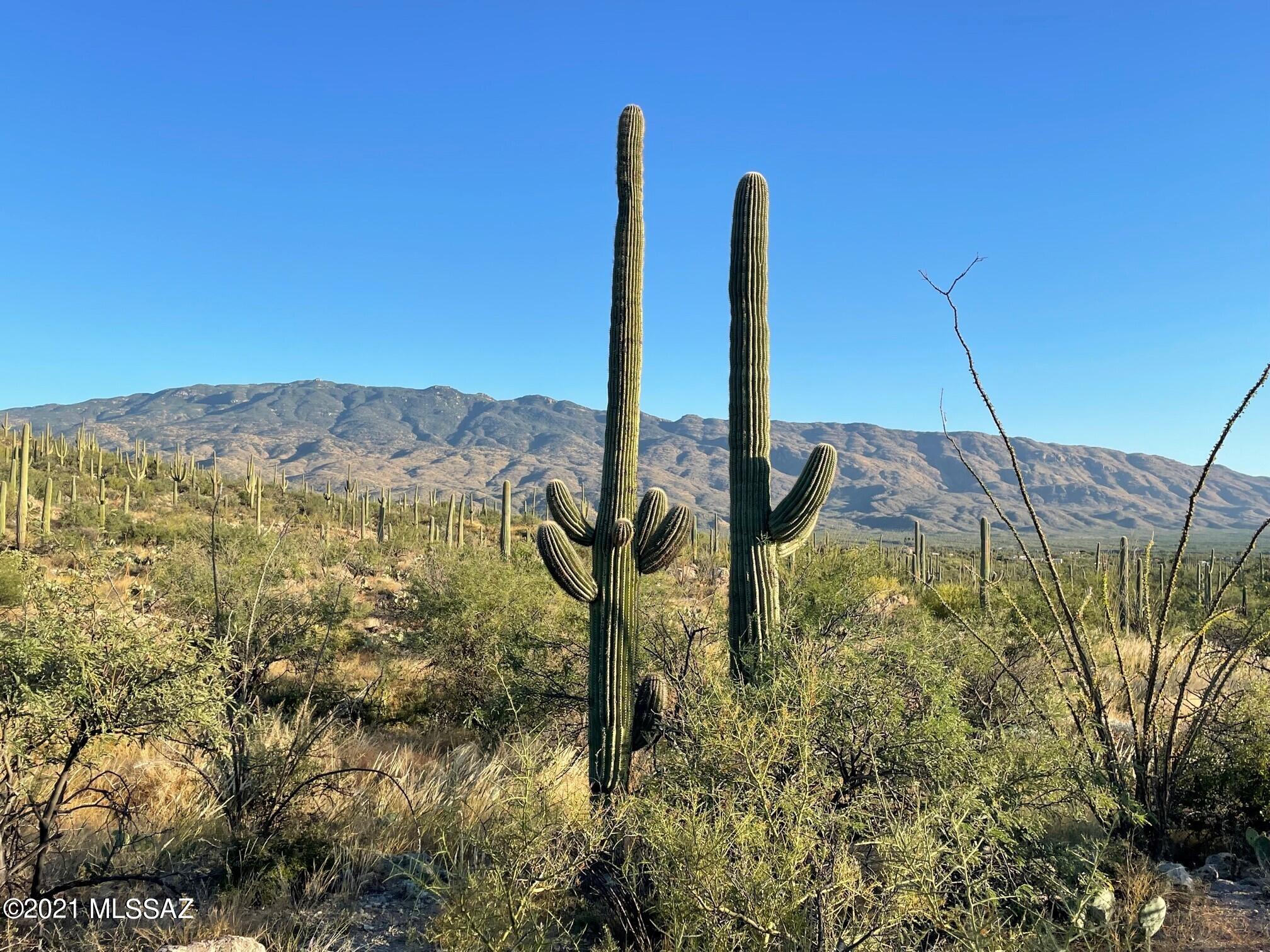 Rinconado Estates (1-13) - Land