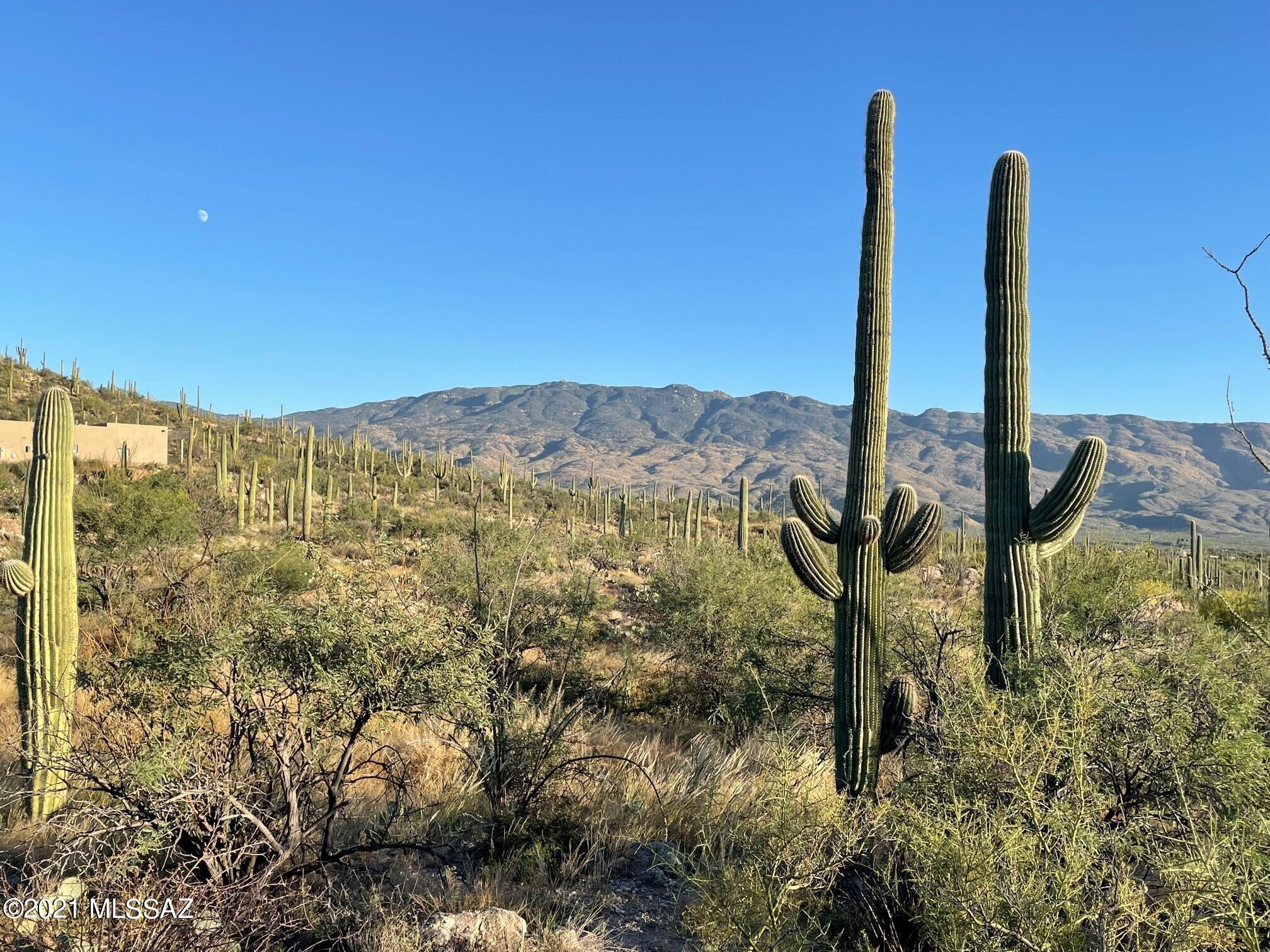 Rinconado Estates (1-13) - Land
