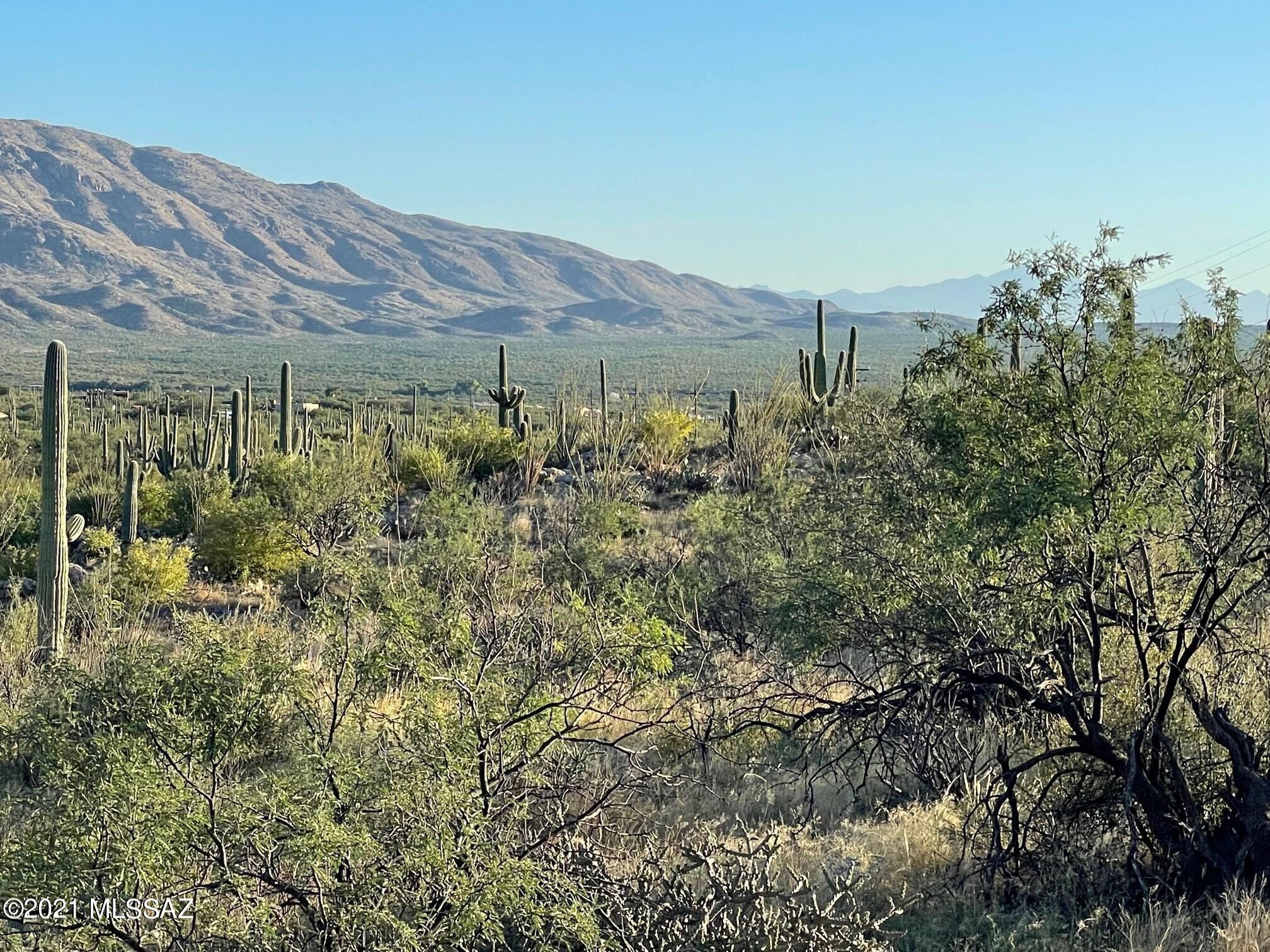 Rinconado Estates (1-13) - Land