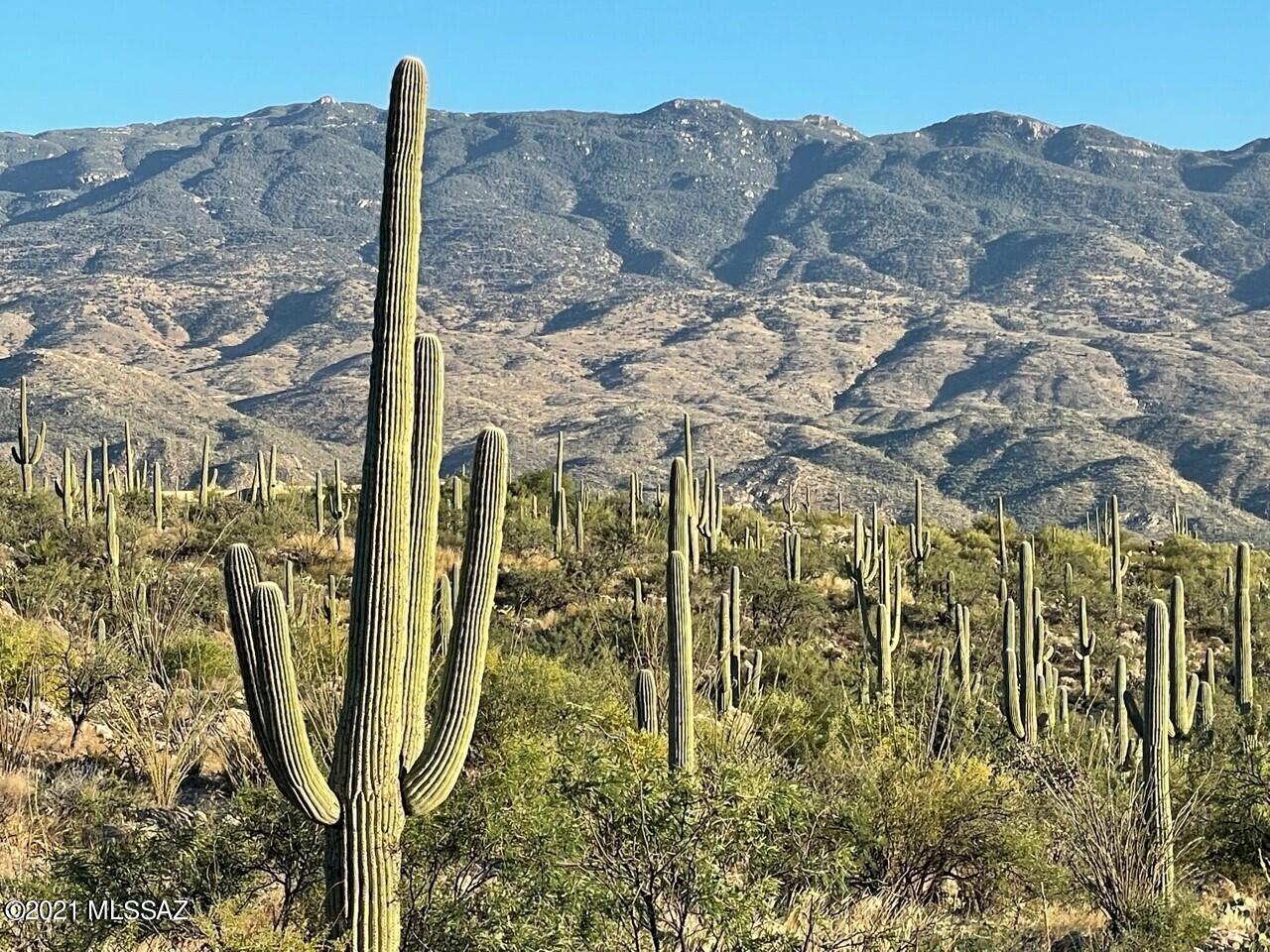 SPECTACULAR 3.37 ACRES OF LUSH SONORAN DESERT ON PARCEL 1 AT THE MAGNIFICENT RINCONADO ESTATES IN NORTHEAST TUCSON. BEAUTIFUL NATURAL DESERT WITH LARGE, MATURE SAGUAROS AND STUNNING VIEWS IN ALL DIRECTIONS. THIS PARCEL HAS INCREDIBLE MOUNTAIN AND CANYON VIEWS. VERY PRIVATE! IMPECCABLE QUALITY IMPROVEMENTS, ALL UNDERGROUND FOR THE 14 LOTS IN THIS SMALL, QUIET, PRIVATE GATED COMMUNITY. THOUGHTFUL DESIGN GUIDELINES ENSURE VALUES AND A PREMIUM NEIGHBORHOOD. THIS LOT IS PRICED TO SELL WELL UNDER THE DEVELOPERS COSTS. ALL AMENITIES AND GREAT SCHOOLS ARE NEARBY AS WELL AS THE SAGUARO NATIONAL MONUMENT EAST, REDINGTON PASS, THE TANQUE VERDE WASH AND AGUA CALIENTE PARK. MUST SEE! ONE OF THE PRINCIPALS IS A LICENSED REAL ESTATE SALESPERSON IN THE STATE OF ARIZONA. MUST SEE THE VIDEO!