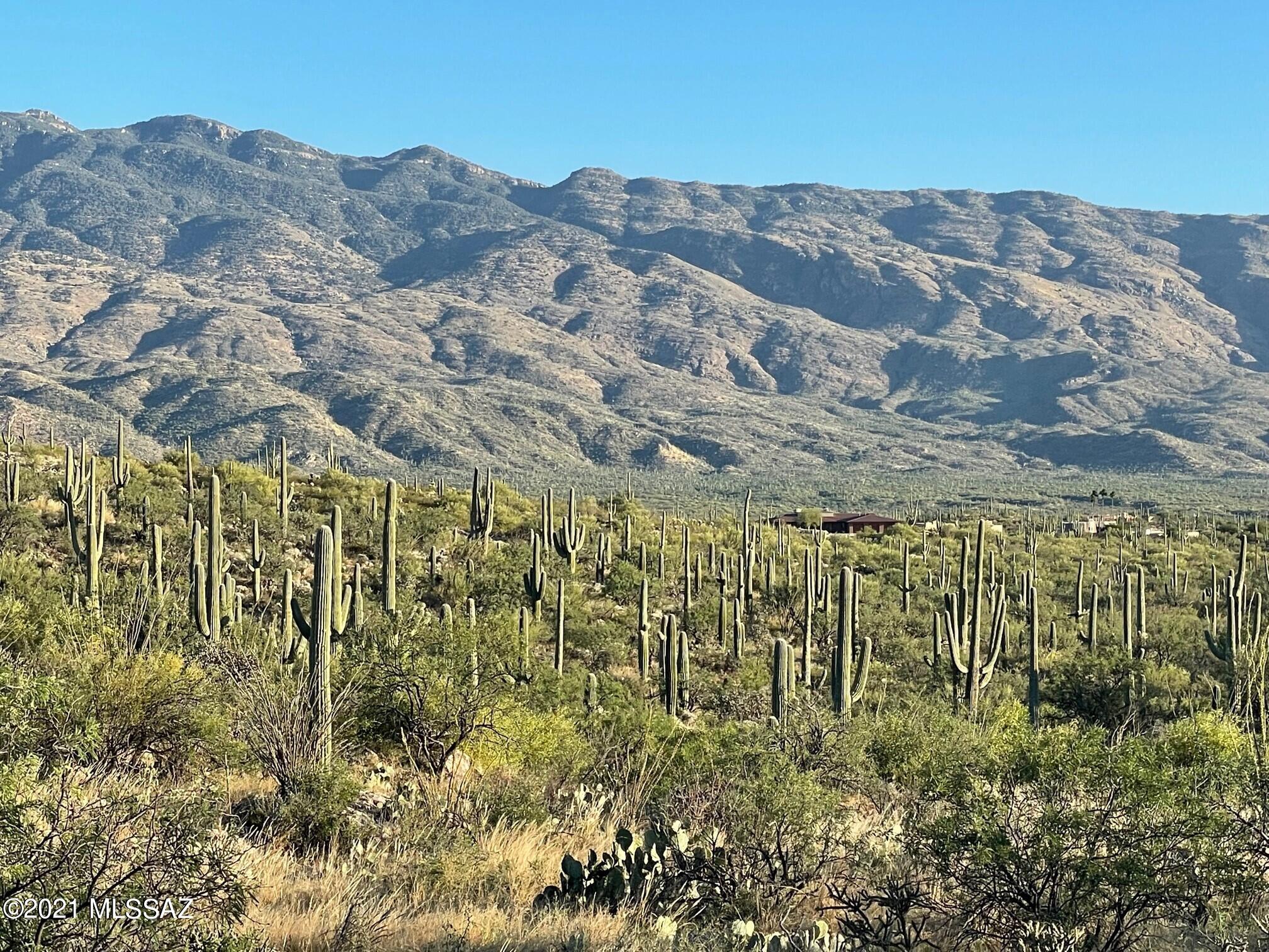 Rinconado Estates (1-13) - Land