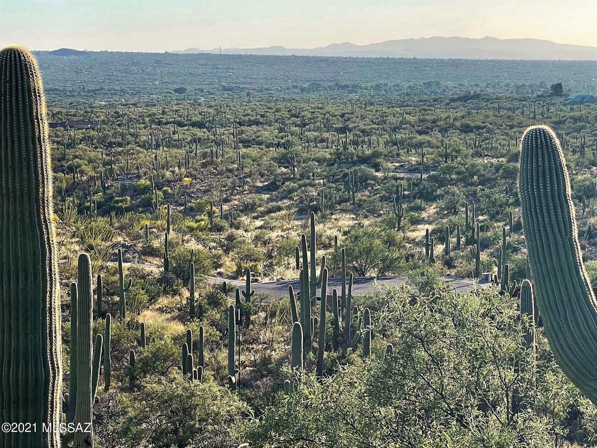 Rinconado Estates (1-13) - Land