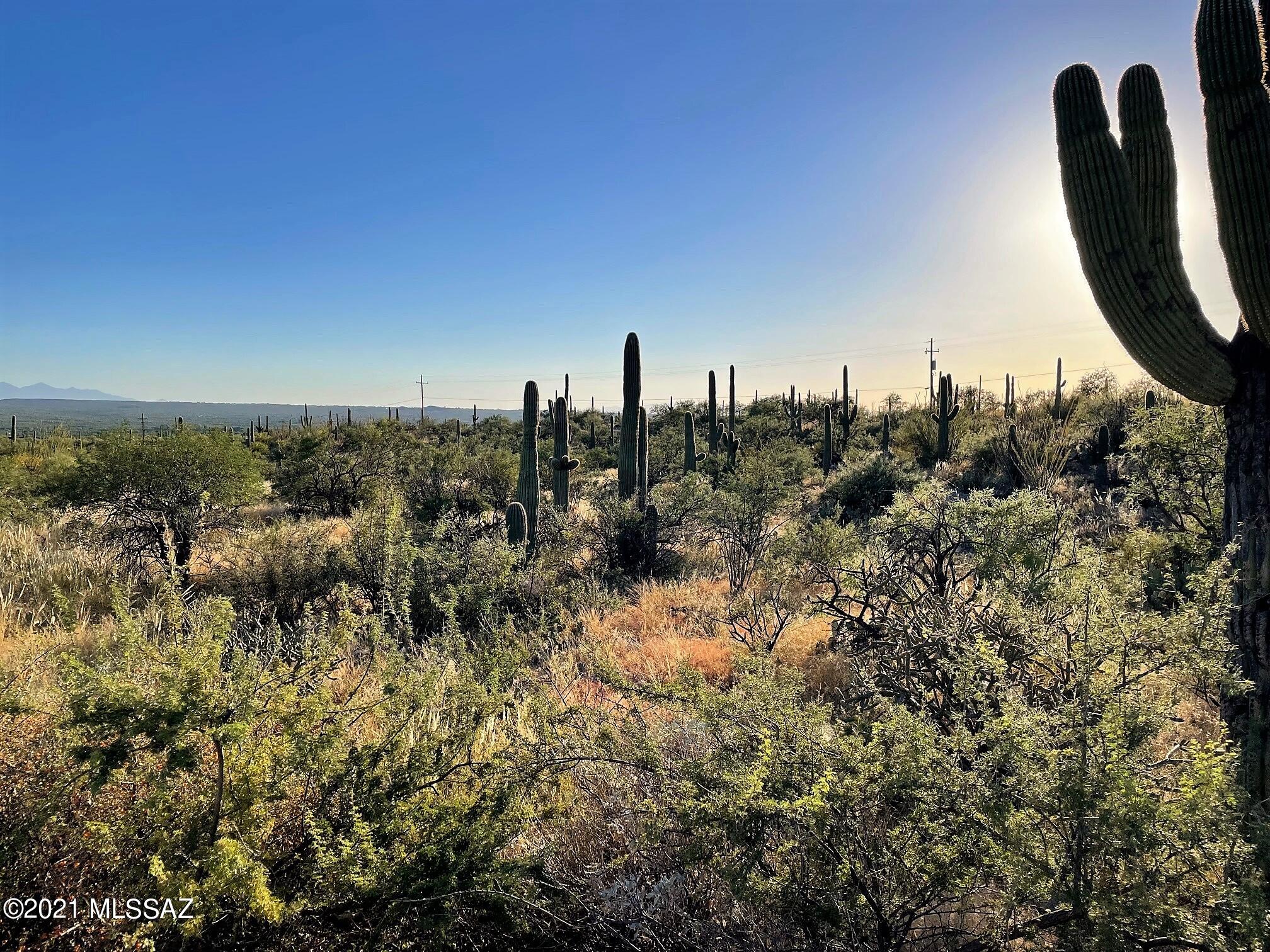 Rinconado Estates (1-13) - Land