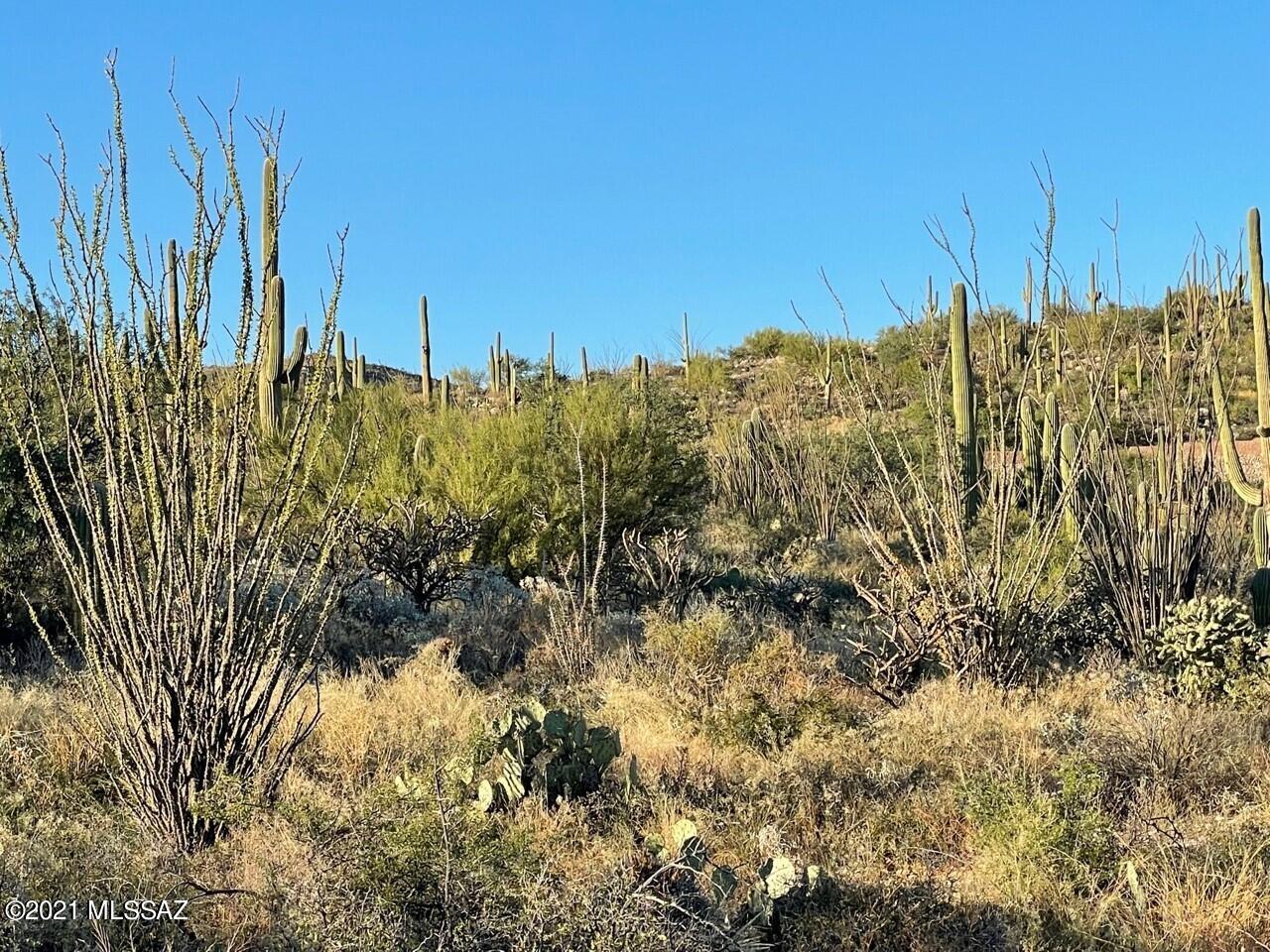 Rinconado Estates (1-13) - Land