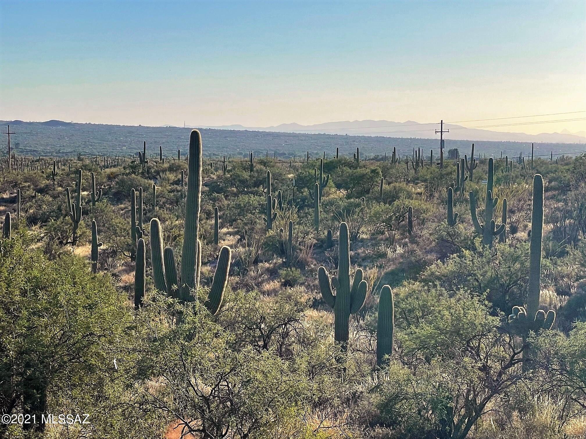 Rinconado Estates (1-13) - Land