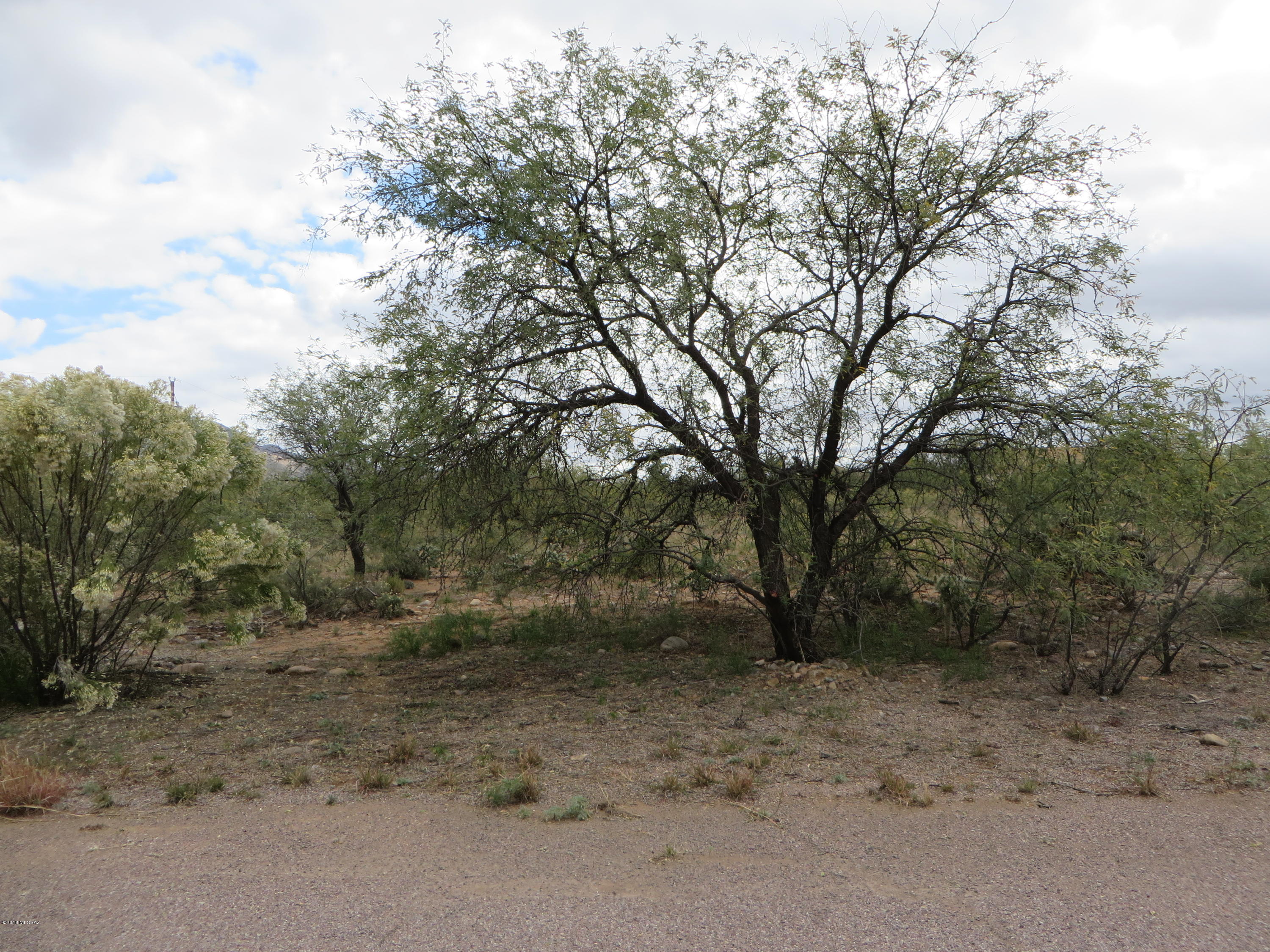 Rio Rico Villas 14 - Land