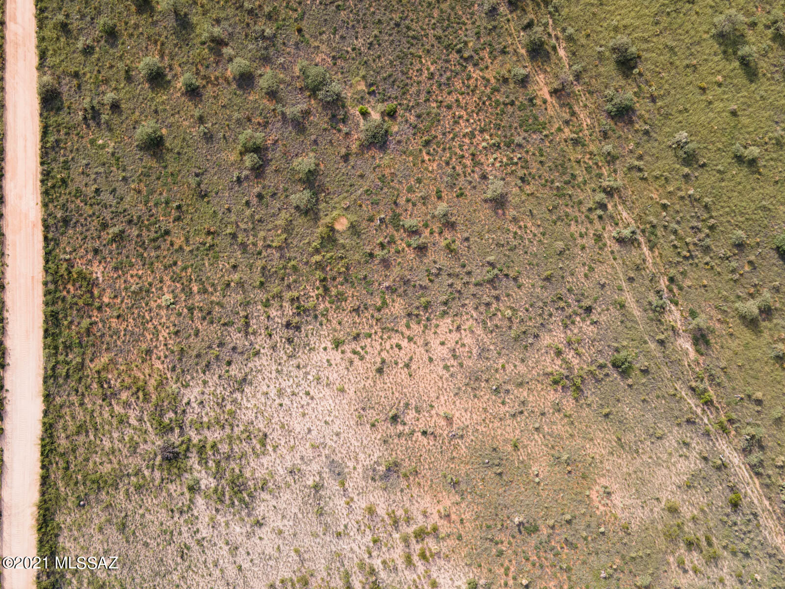 Dragoon Mountain Ranch - Land