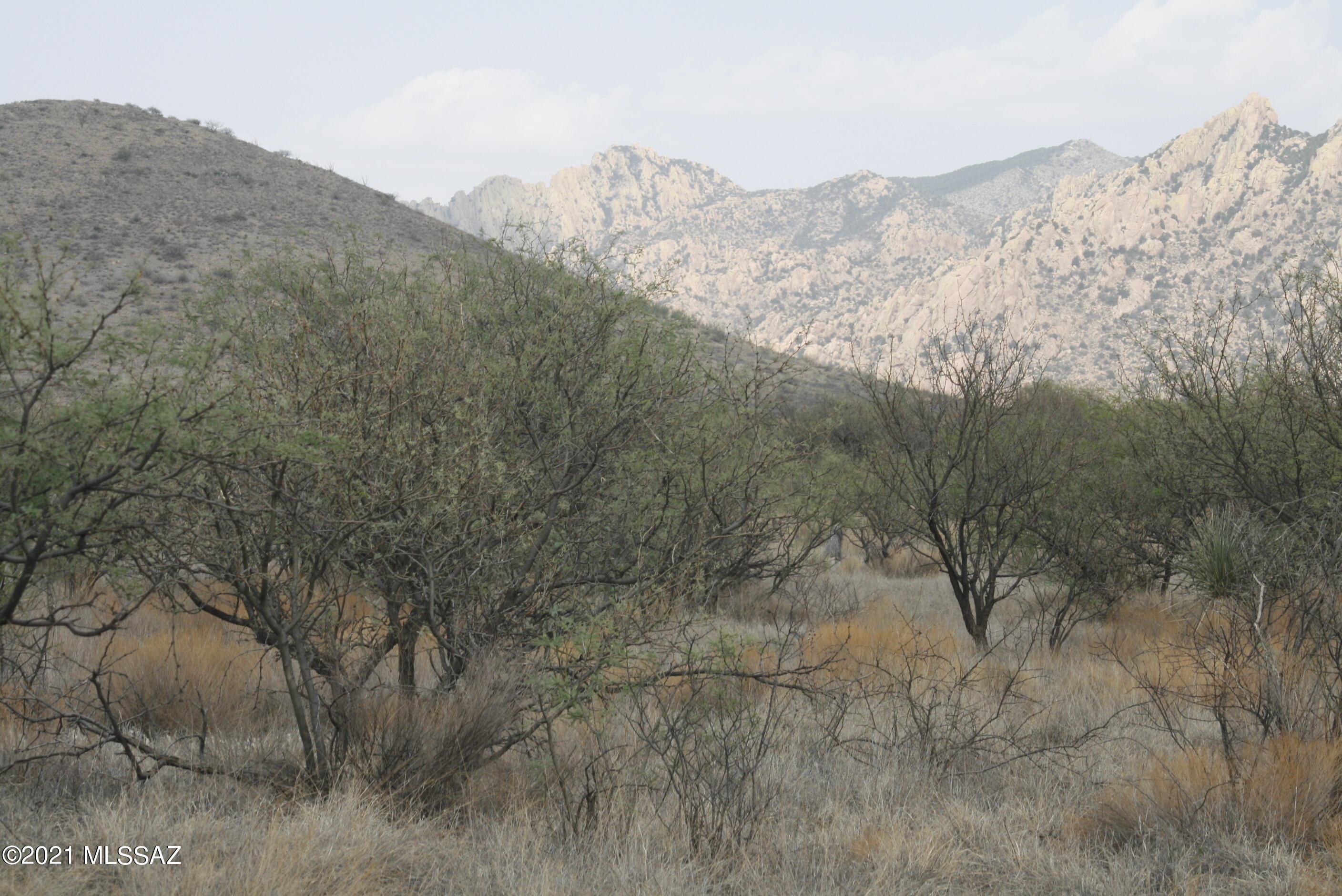 Dragoon Mountain Ranch - Land