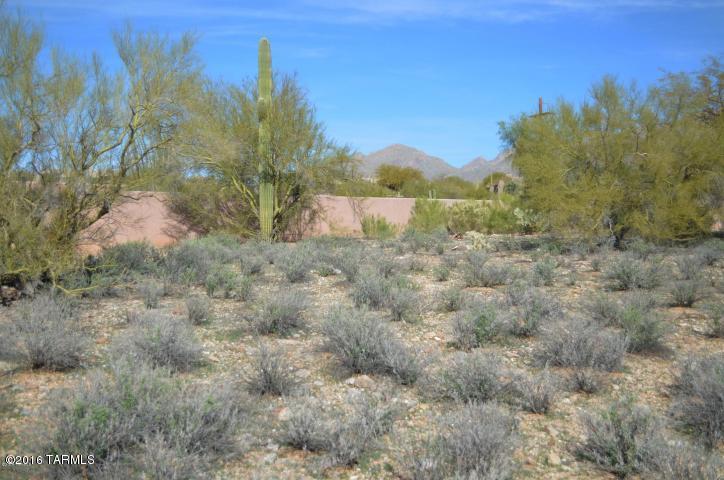 Village On Hacienda Del Sol - Land