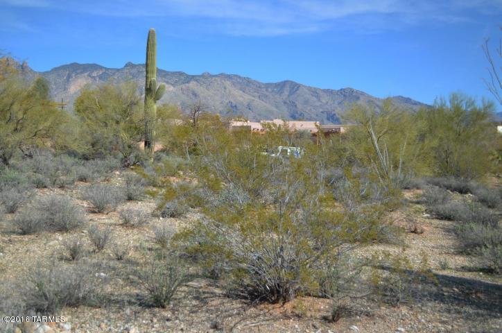 Village On Hacienda Del Sol - Land