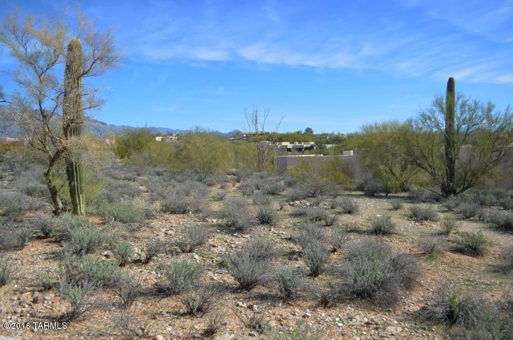 Village On Hacienda Del Sol - Land