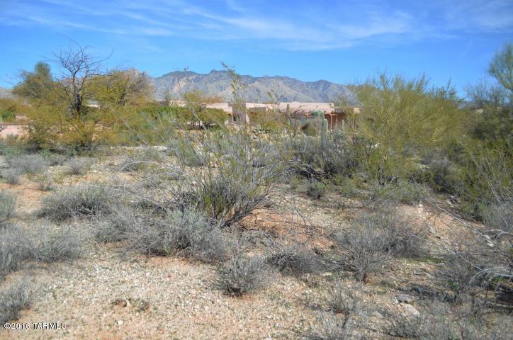 Village On Hacienda Del Sol - Land