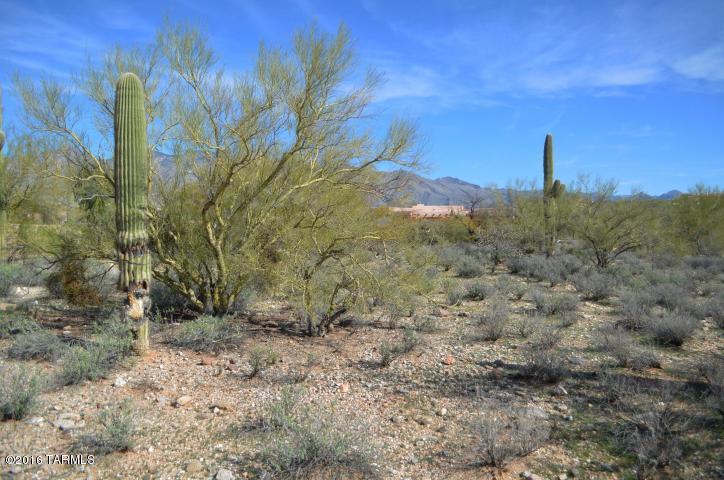 Village On Hacienda Del Sol - Land