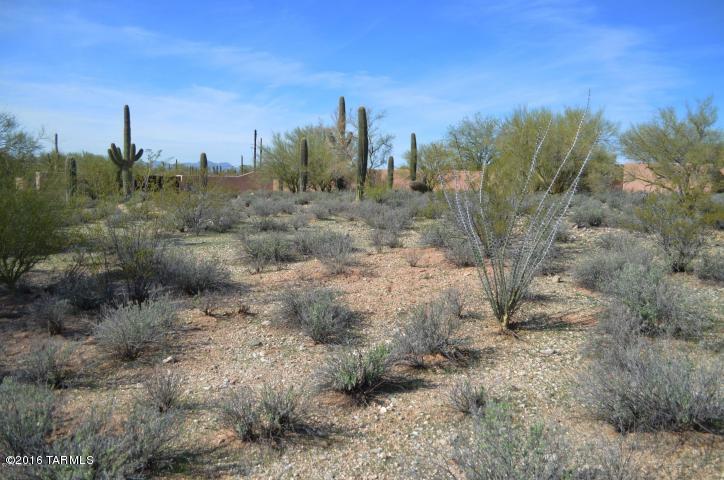 Village On Hacienda Del Sol - Land