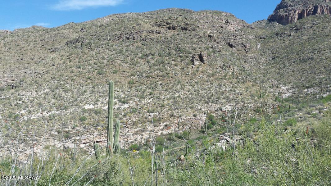 One of the last large (3.692 acres) foothills lots that backs up to over a million acres of protected National Forest. All utilities at lot line including sewer. Secure location with 24-Hour guarded gate plus security patrol.