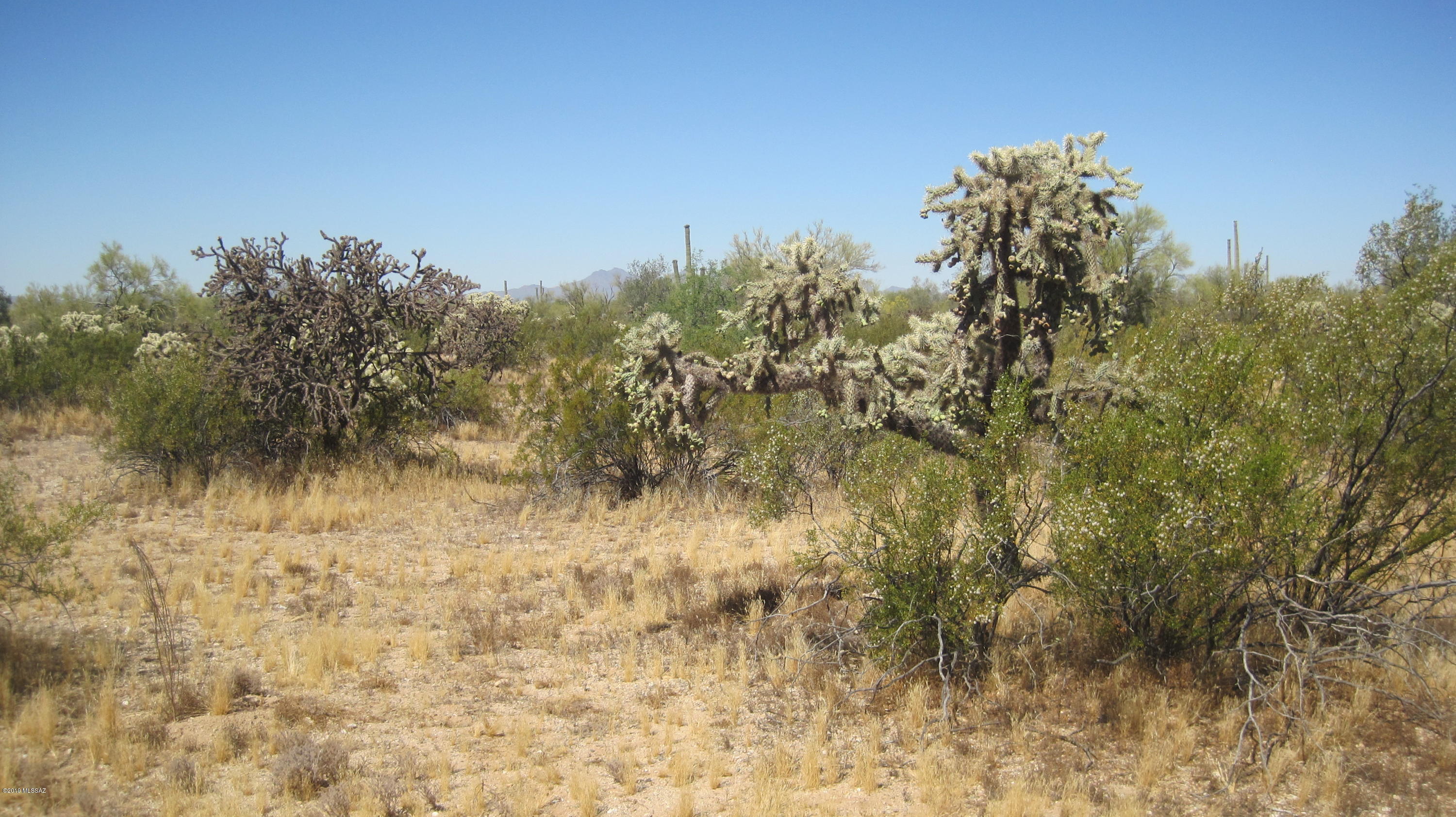 Part of your dream to build off the grid with your family & critters. Make it true with this lovely Az Desert Garden Oasis. Easy access to pavement. Virgin land at its finest.