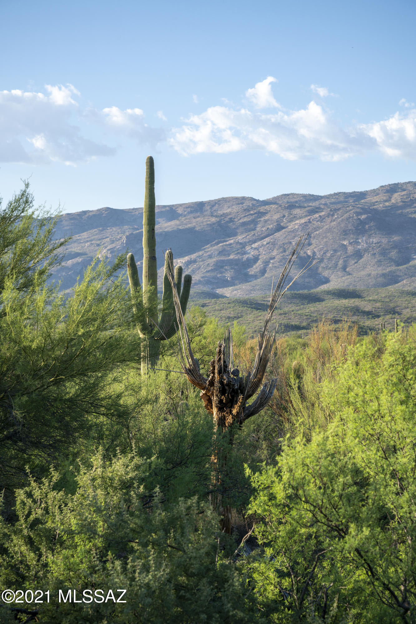 Coyote Creek (1-395) - Land