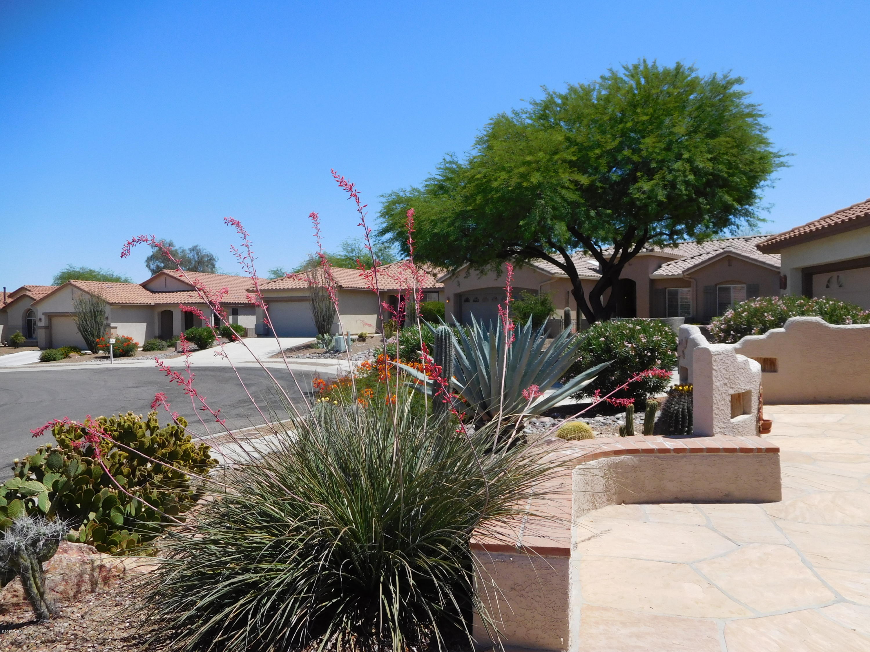 Continental Ranch Sunflower - Residential