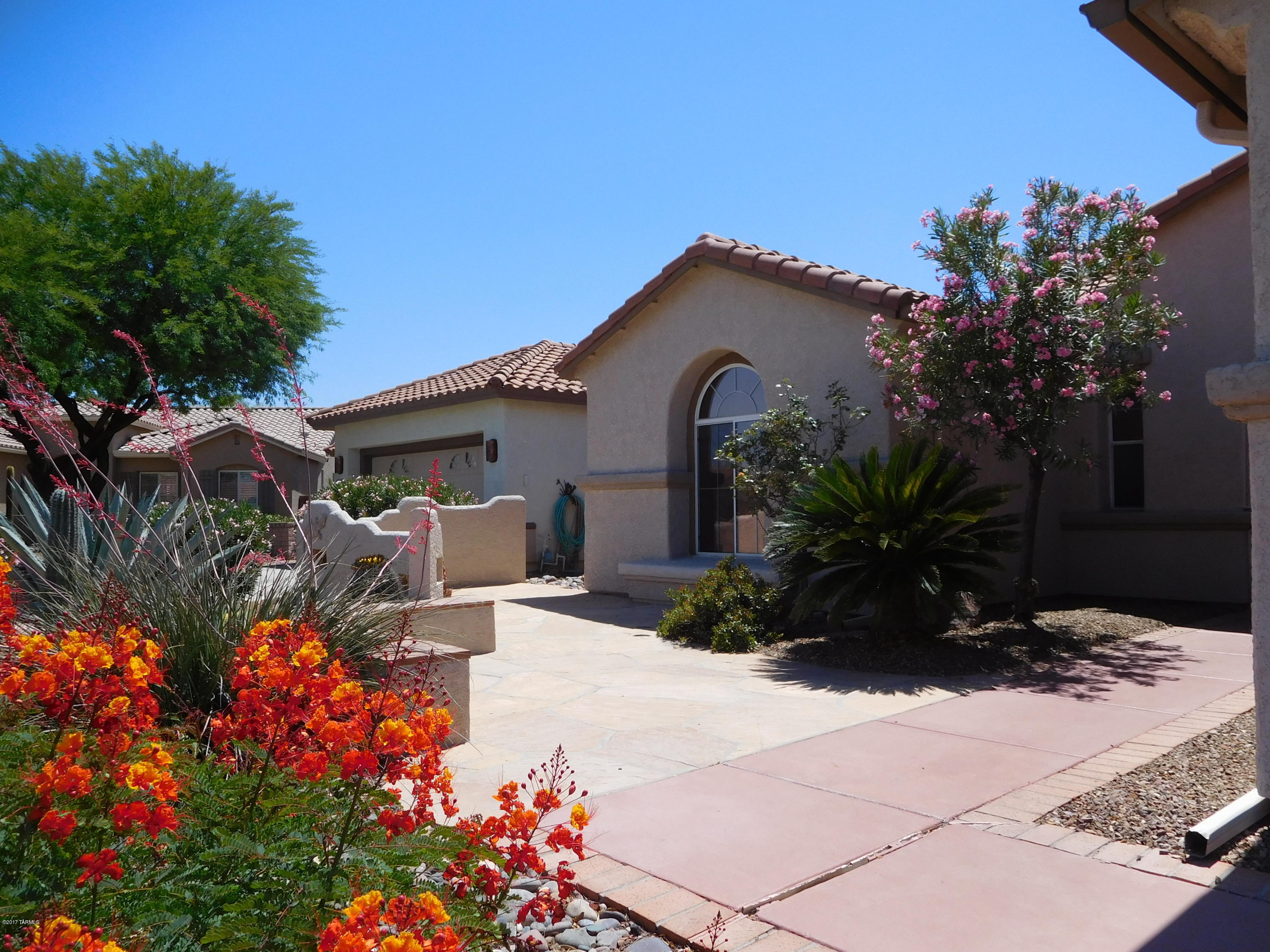 Continental Ranch Sunflower - Residential