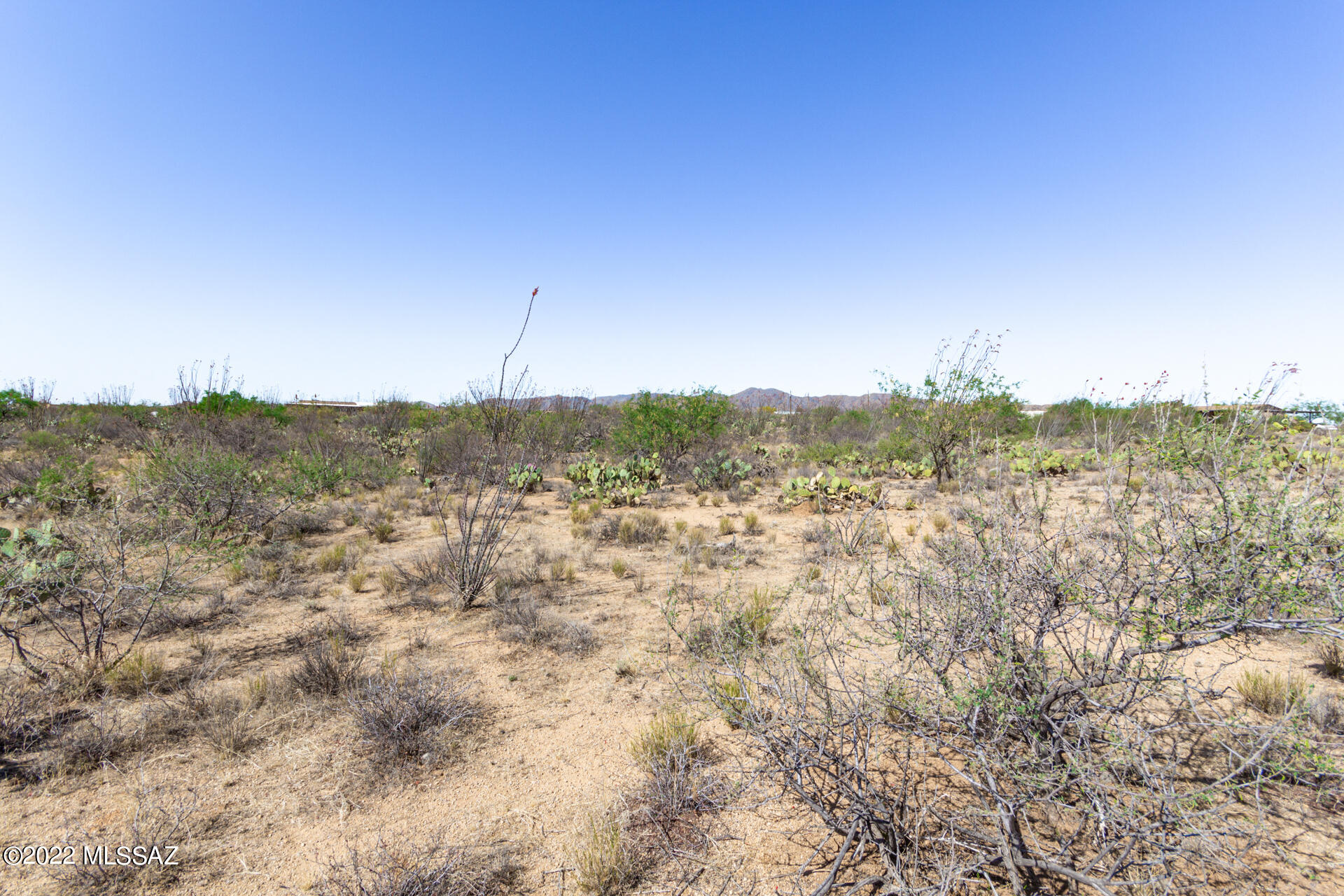 Ocotillo Ranches NO. 2 (1-19) - Land