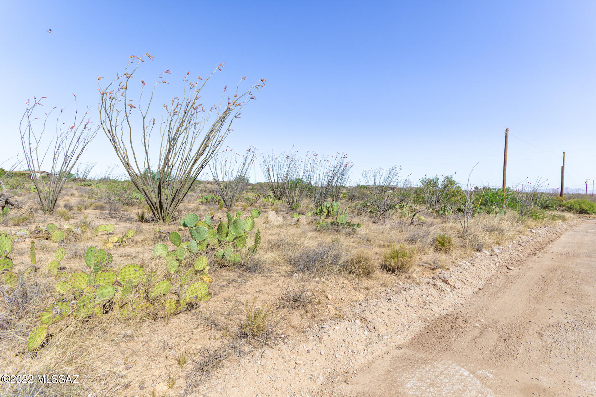 Ocotillo Ranches NO. 2 (1-19) - Land