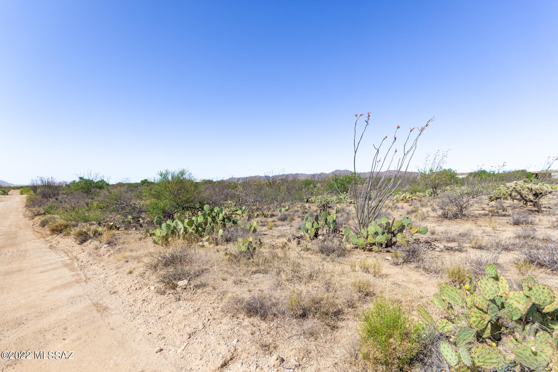 Ocotillo Ranches NO. 2 (1-19) - Land