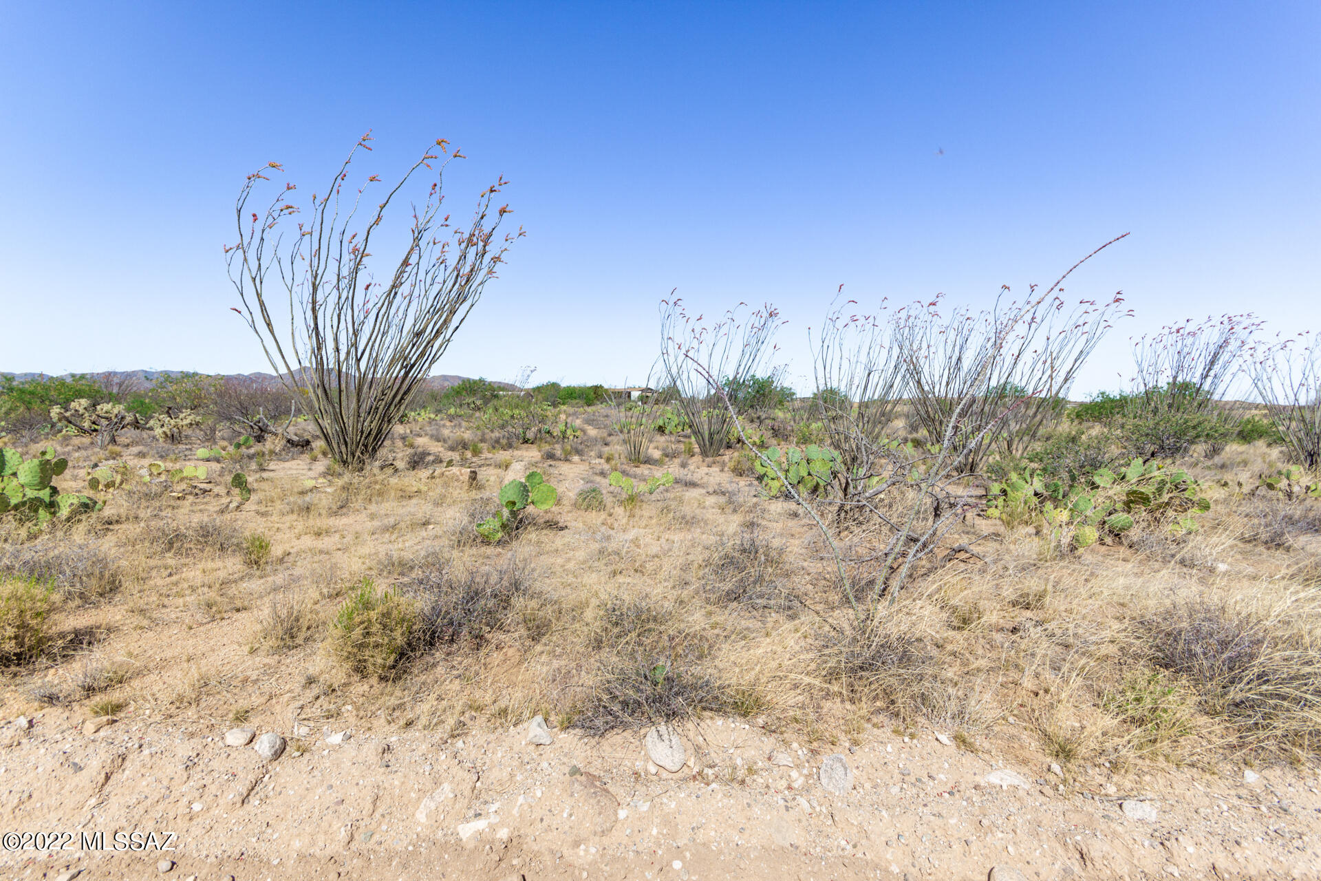 Ocotillo Ranches NO. 2 (1-19) - Land