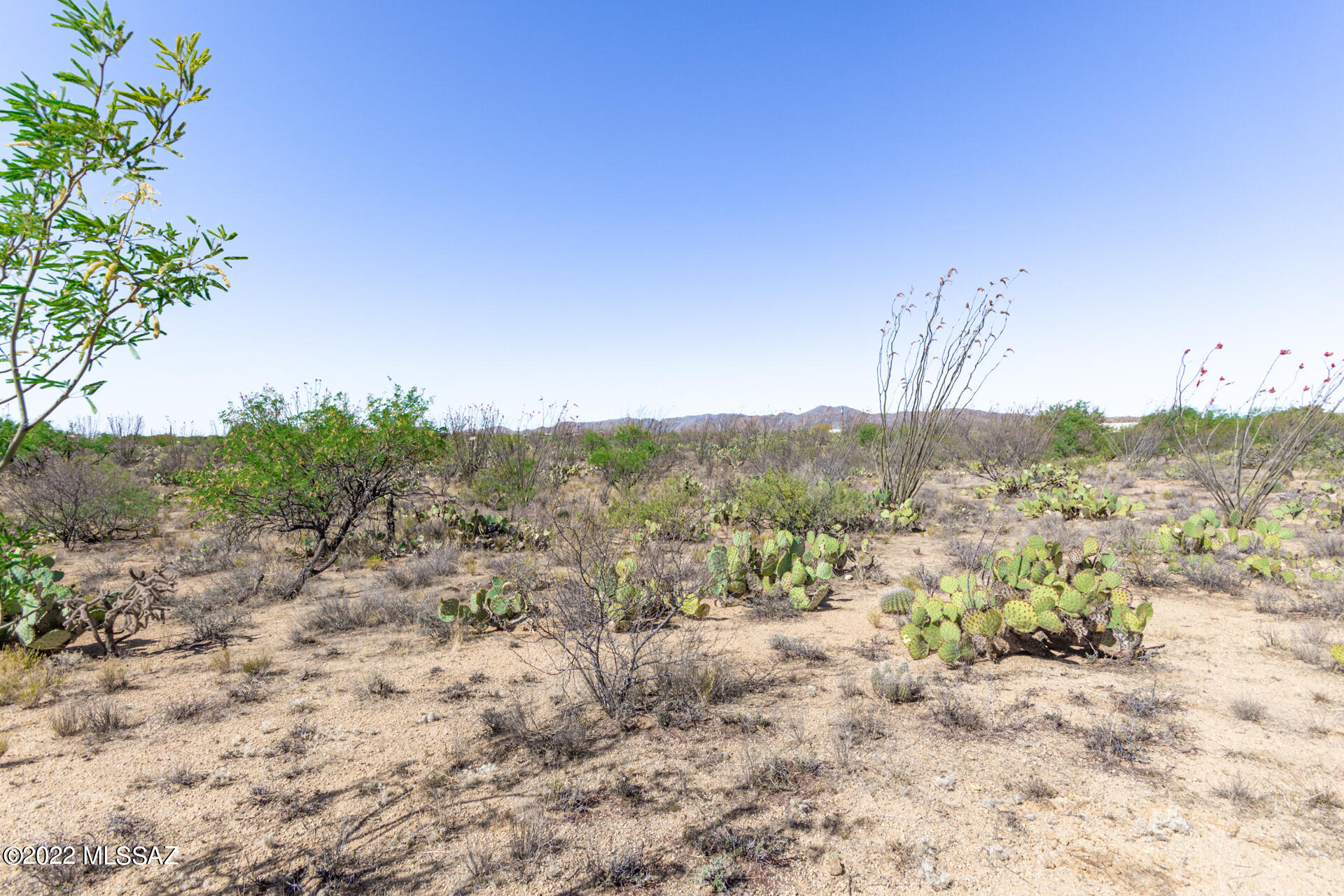 Ocotillo Ranches NO. 2 (1-19) - Land