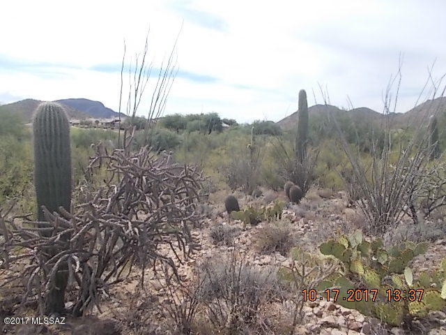 Quail Ridge (1-52) - Land