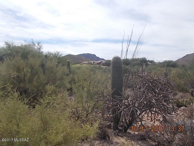 Quail Ridge (1-52) - Land