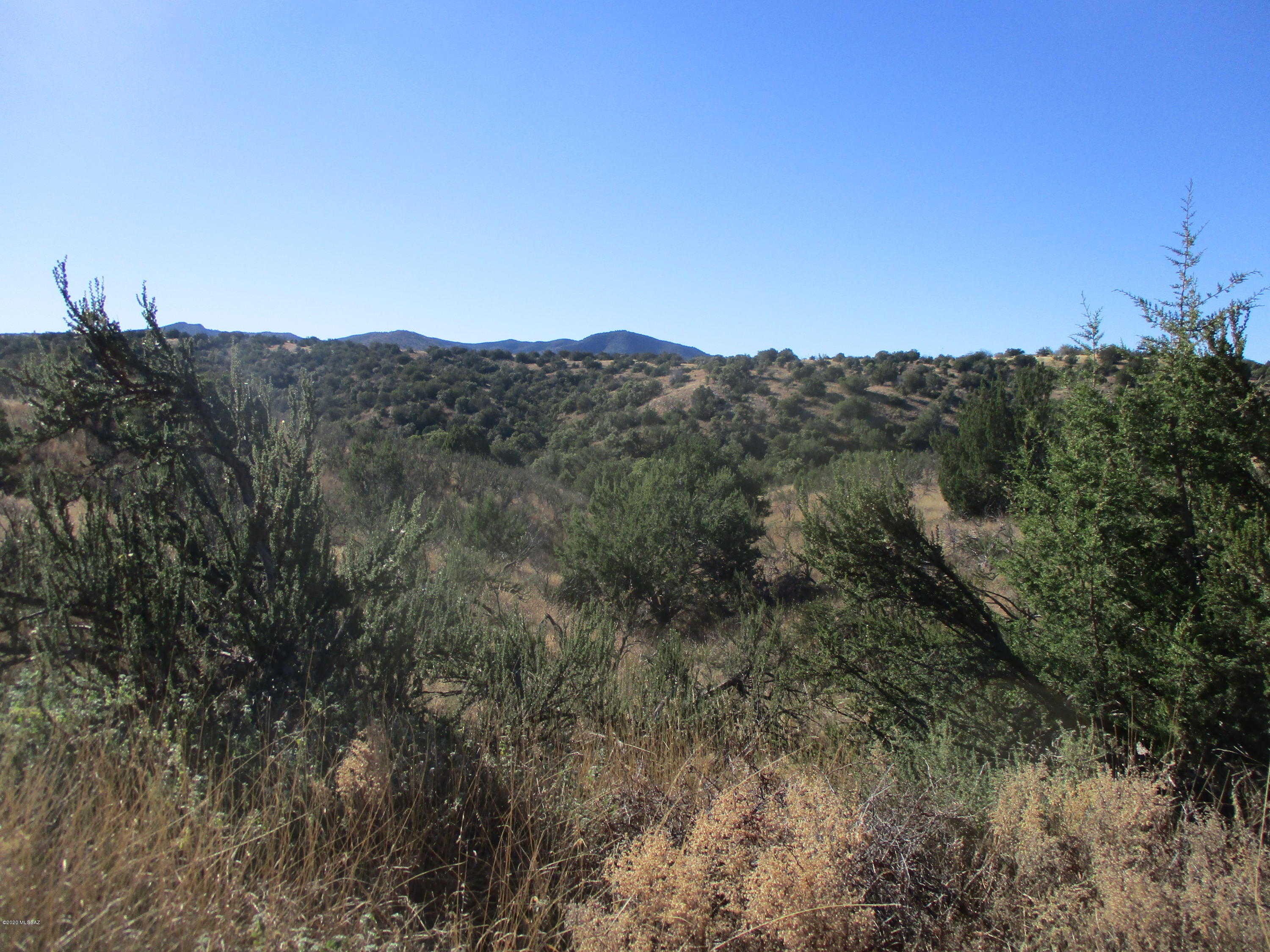 Tunnel Springs - Land