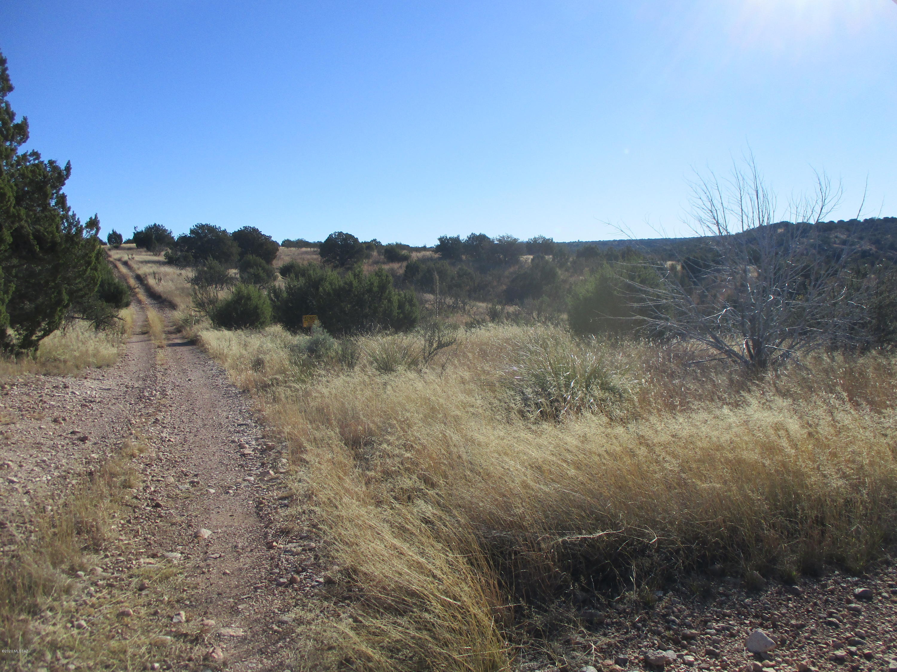 Tunnel Springs - Land